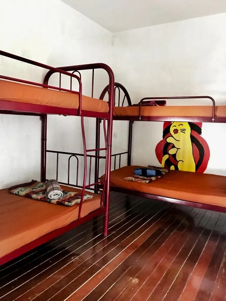 Bunk Bed in Mixed Dormitory Room in QuiikCat