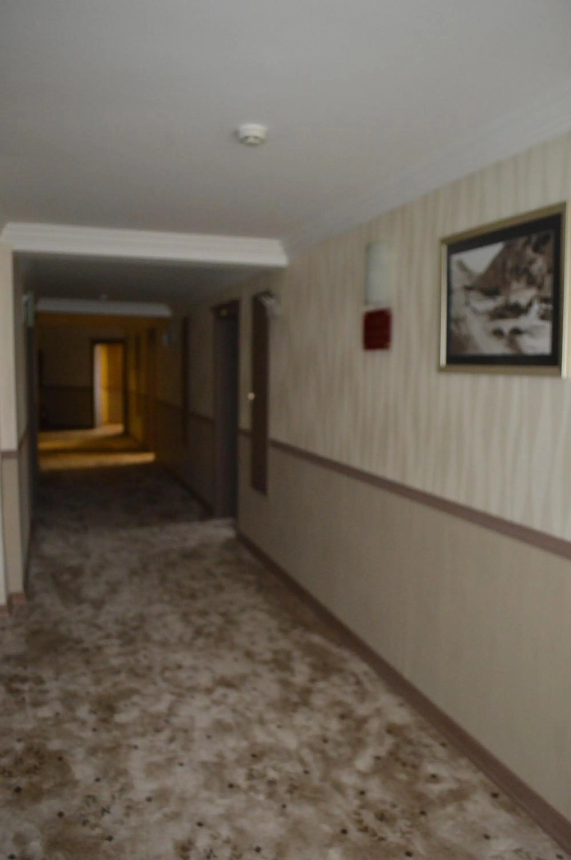 Lobby/Reception in Nobel Hotel Ankara