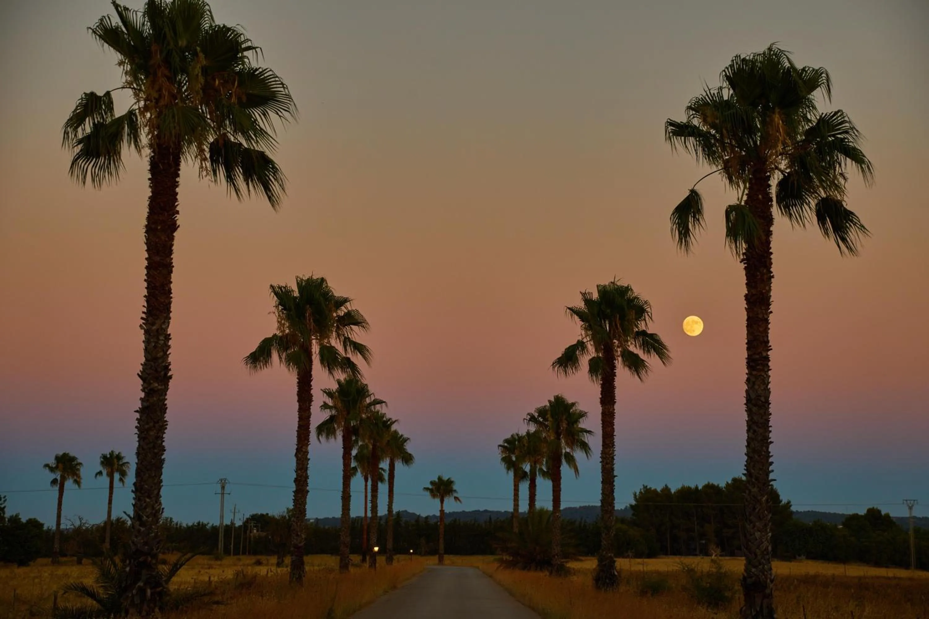 Natural landscape in Virrey Finca Hotel