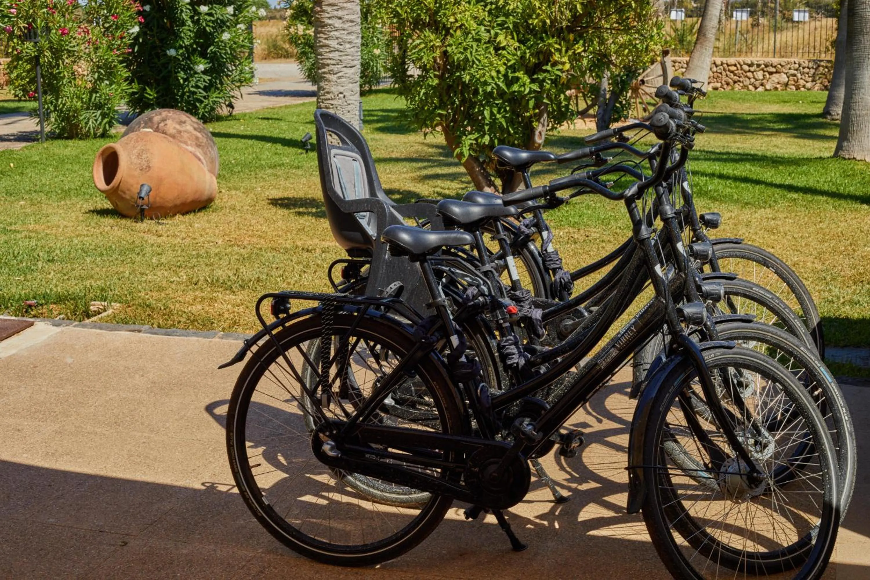 Activities in Virrey Finca Hotel