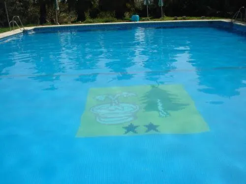 Swimming pool in Hotel Meson Fuente del Pino