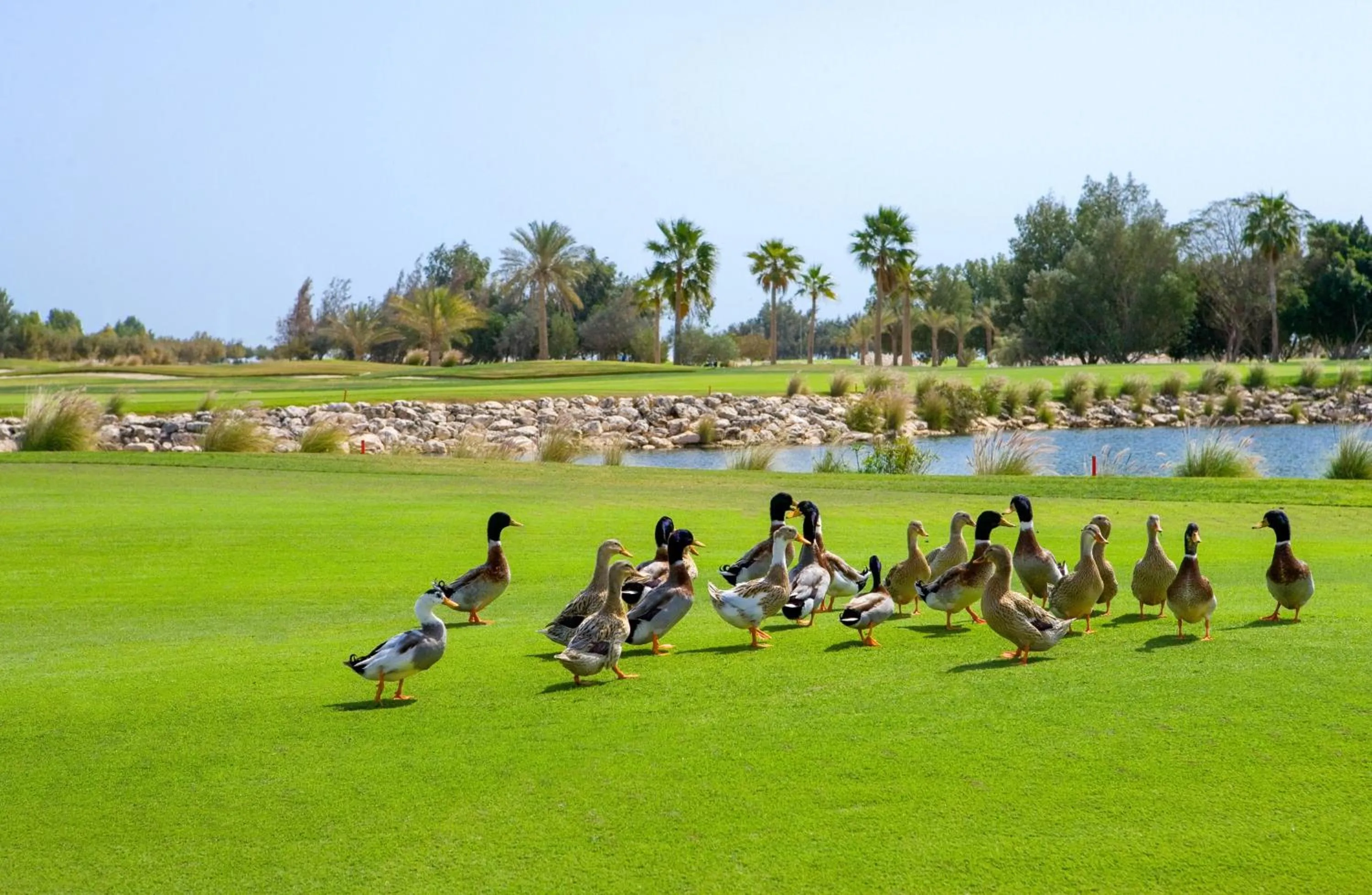 Nearby landmark in Velero Hotel Doha Lusail