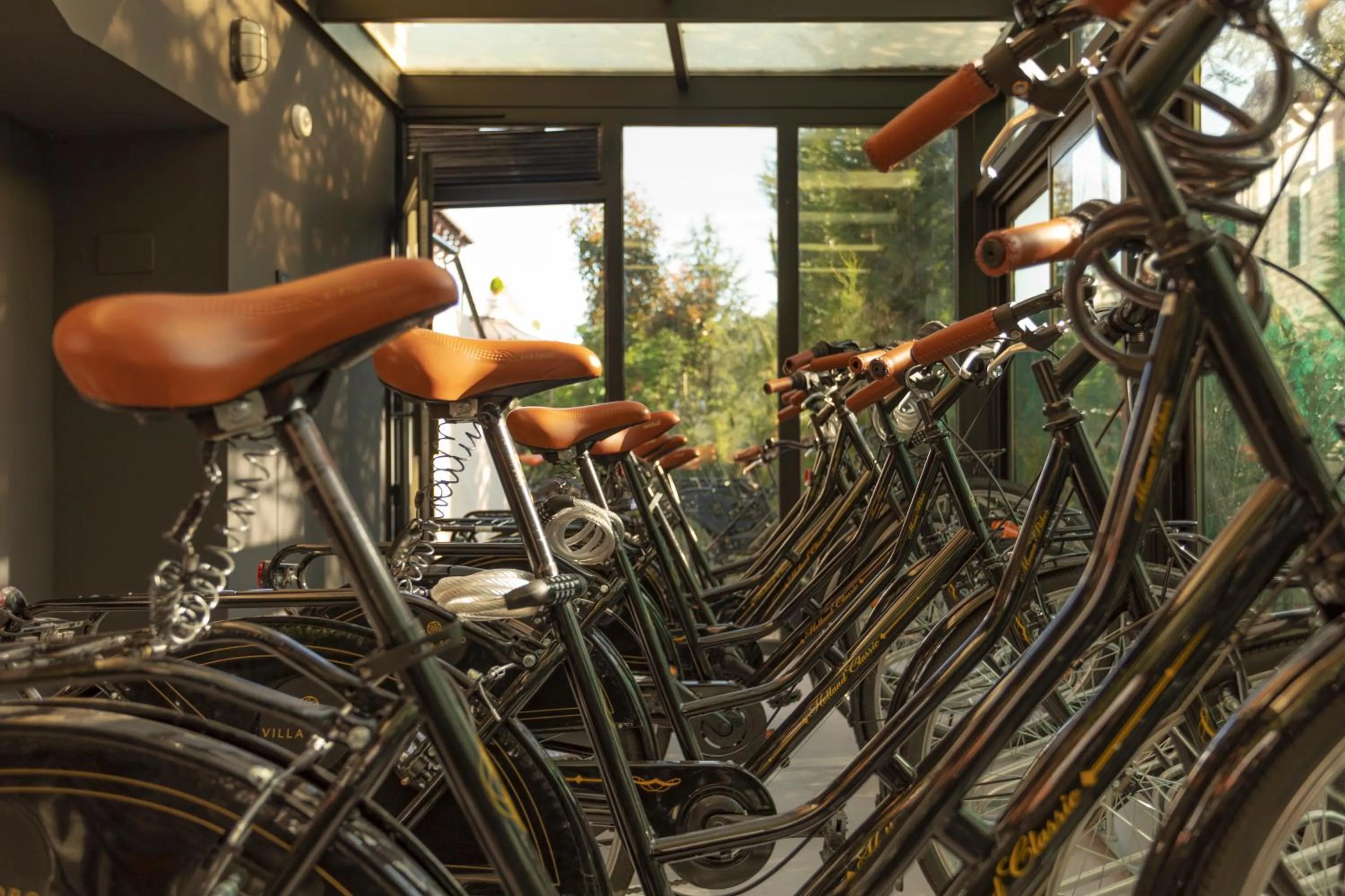 Activities in Hotel Villa Soro