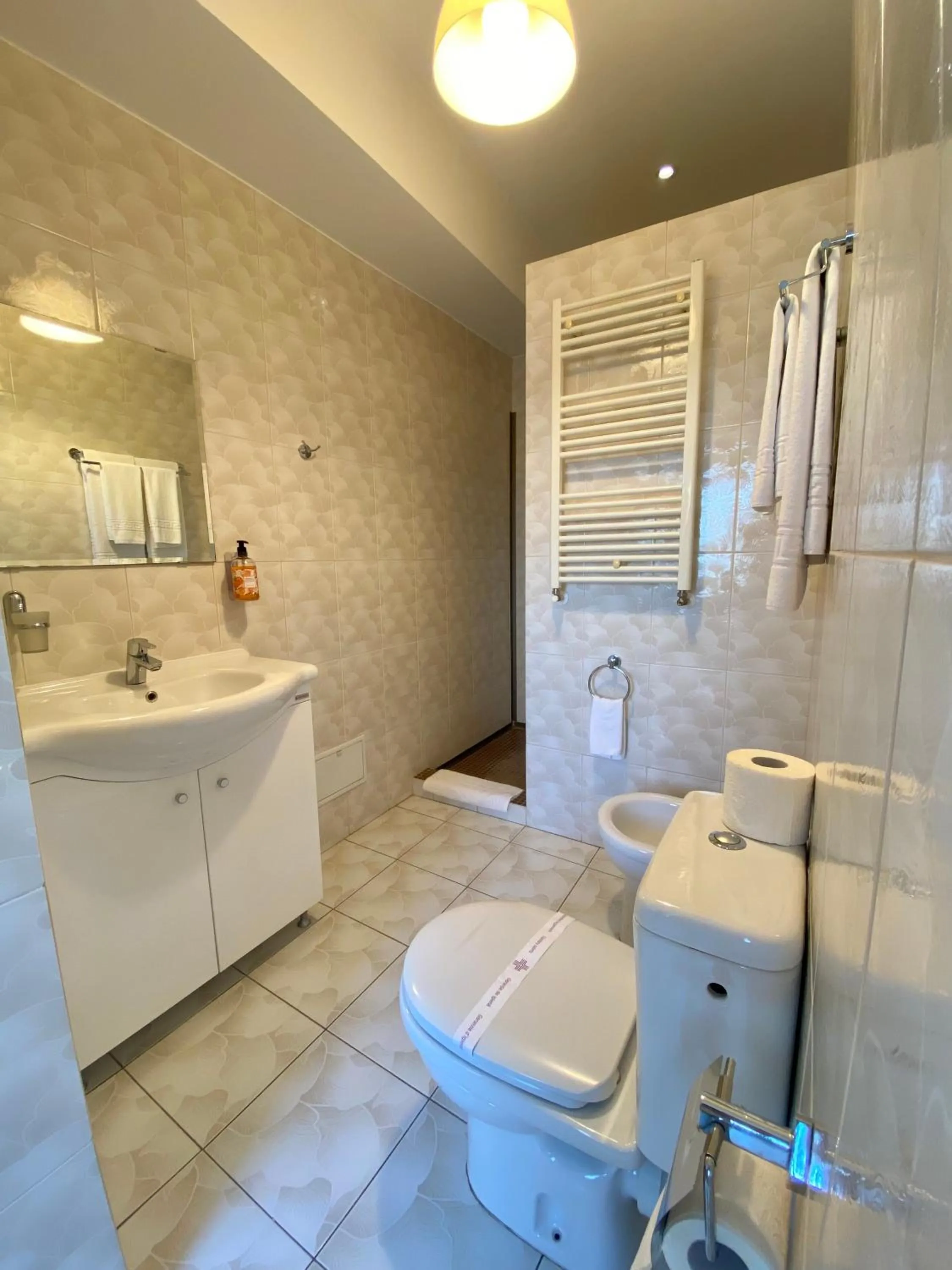 Bathroom in Pensiunea Rix Rooms