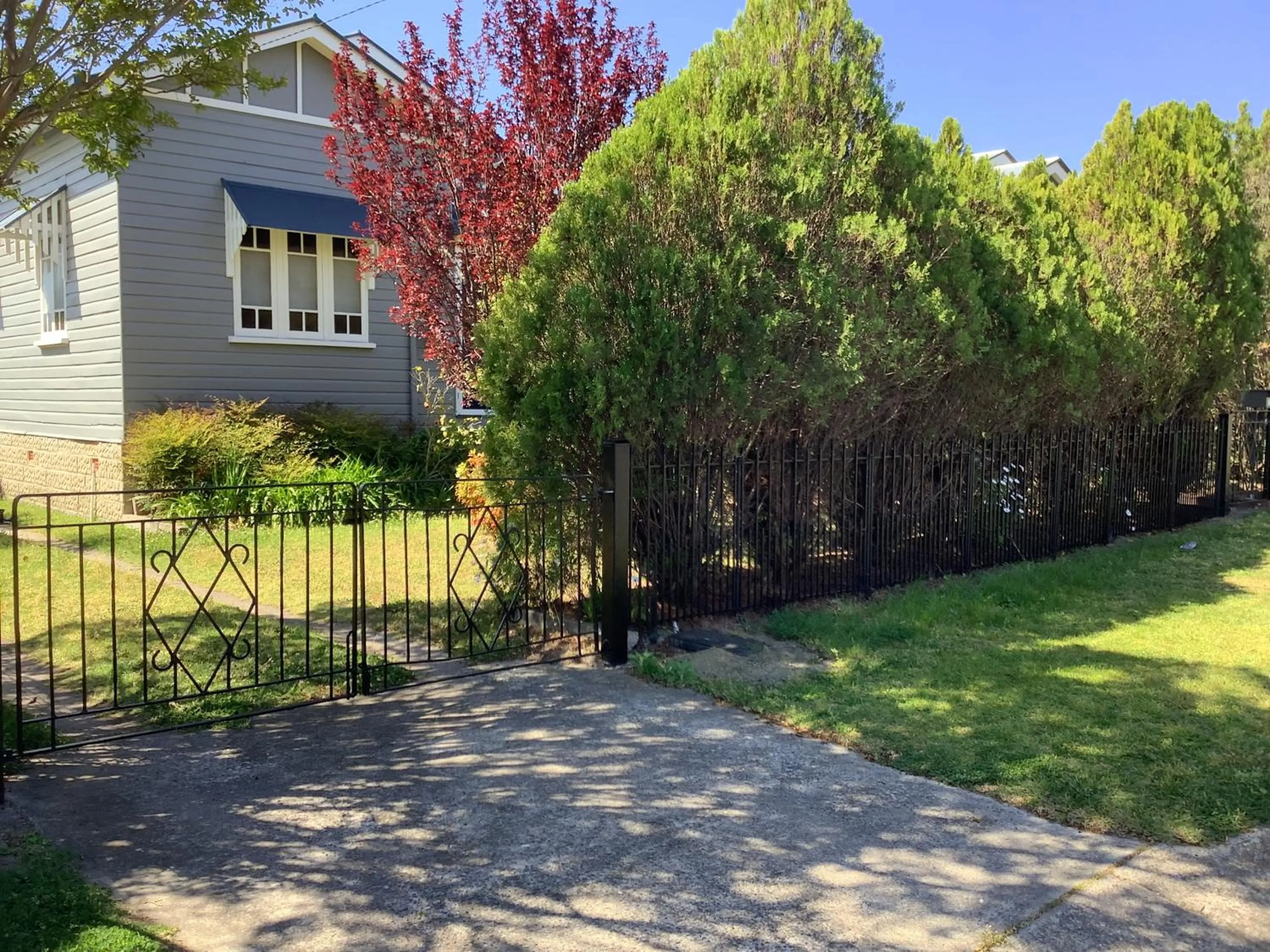 Rosellas on Corundum Cottage - treat yourself!