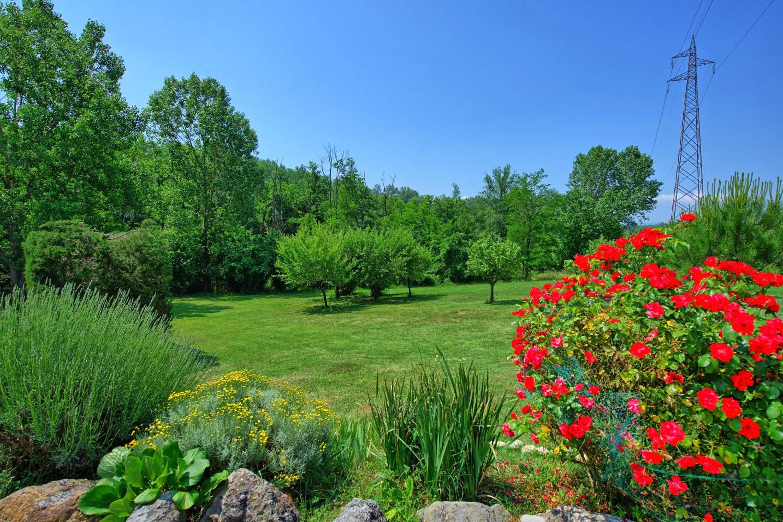 Garden view in Holiday Home Casa Ovile by PosarelliVillas