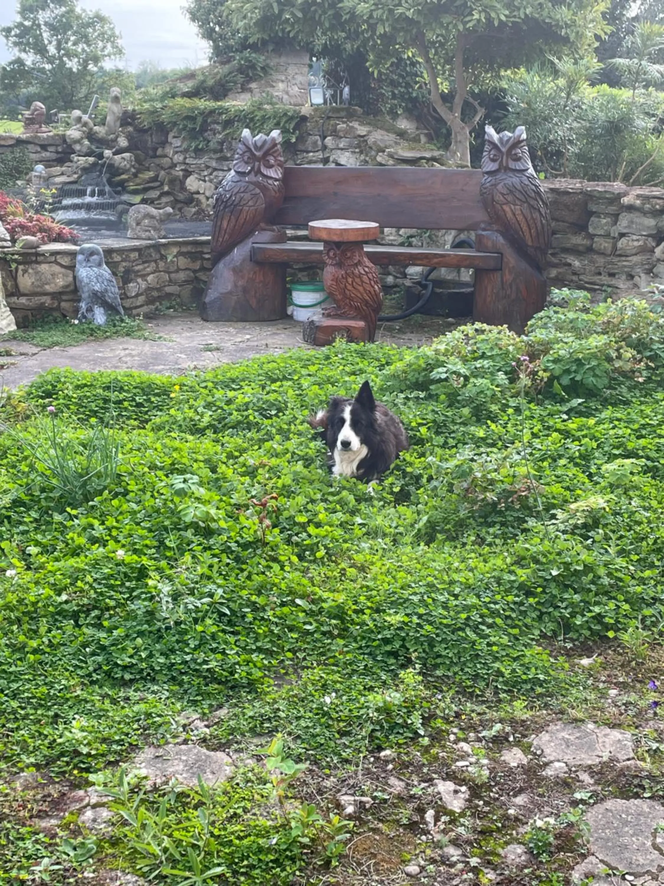 Oakenholt Farm Bed and Breakfast