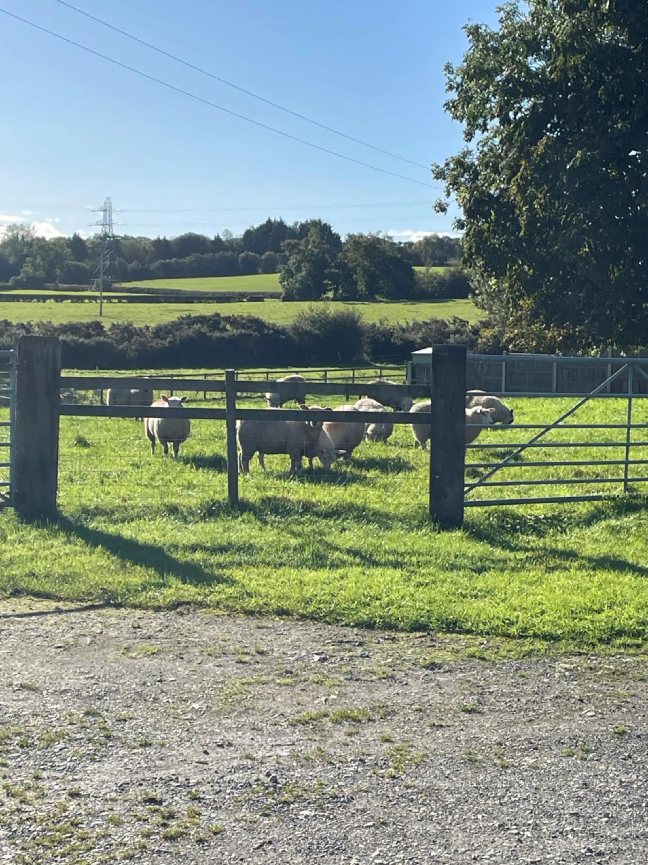 Oakenholt Farm Bed and Breakfast