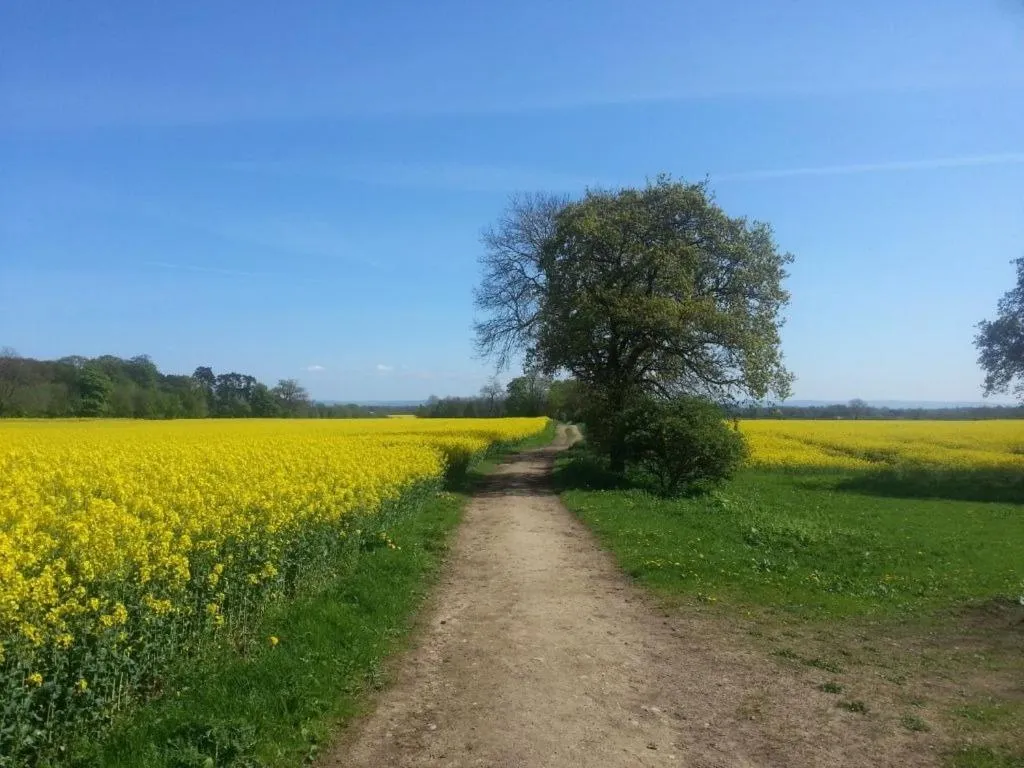 Property building in The Castle Arms Inn