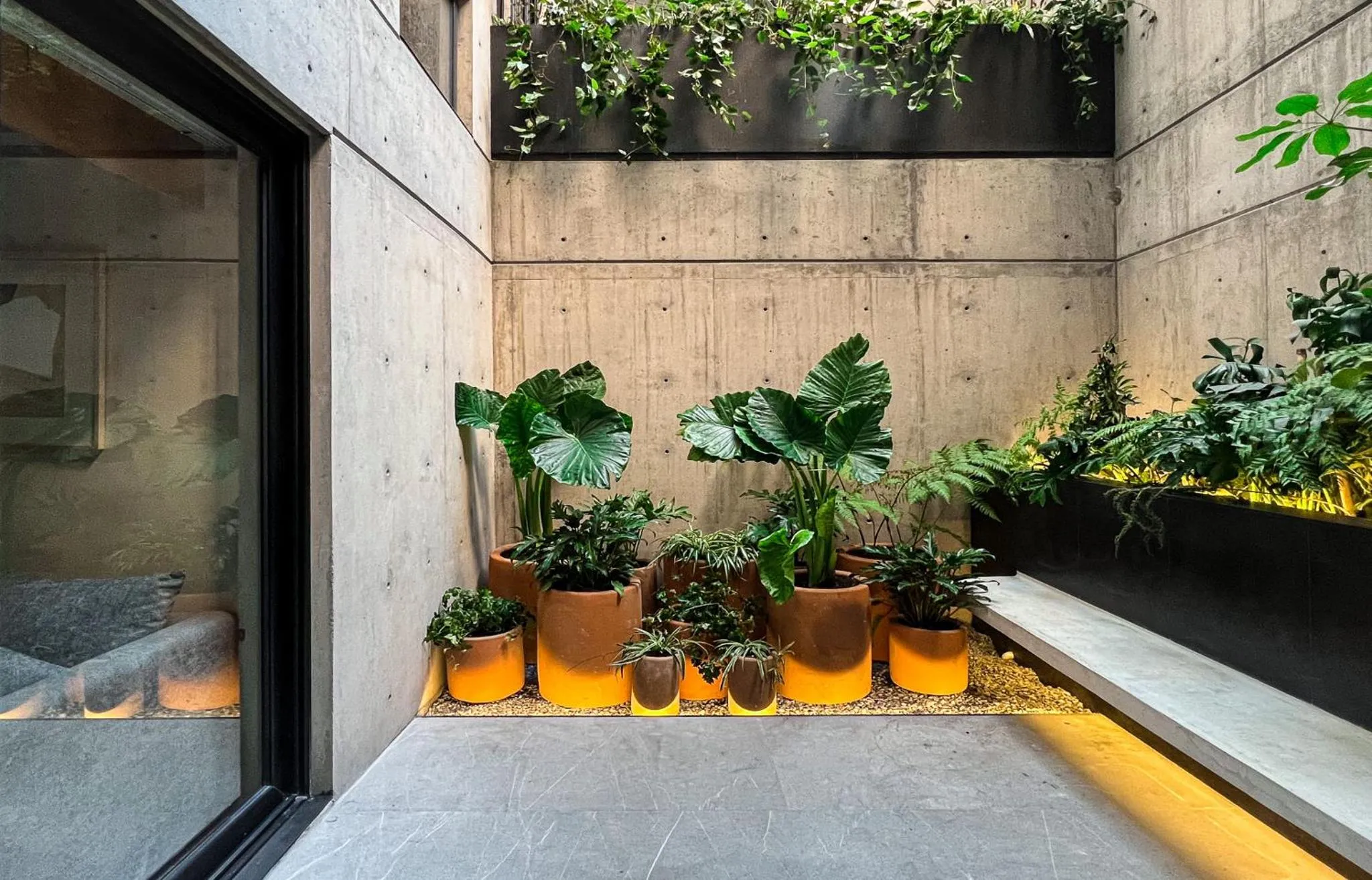 Balcony/Terrace in Ana Polanco Apartments