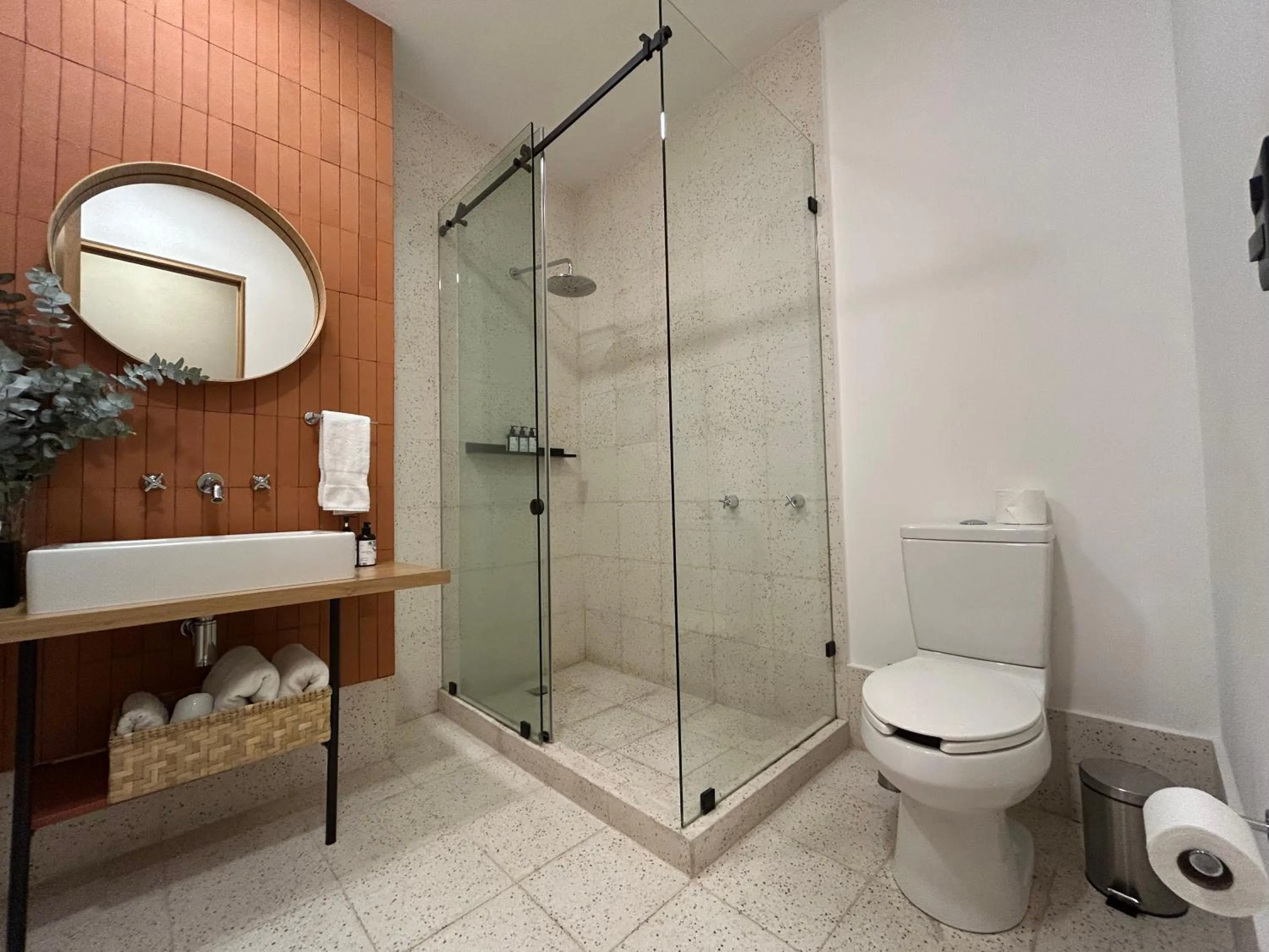 Shower in Ana Polanco Apartments