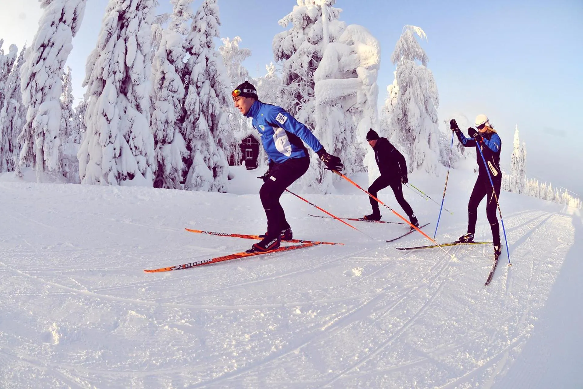 Vuokatti Sport Chalets