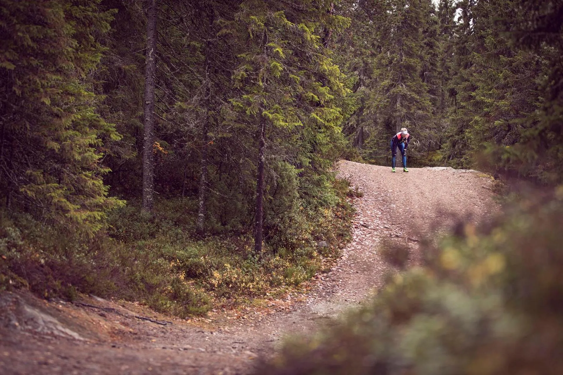Vuokatti Sport Chalets