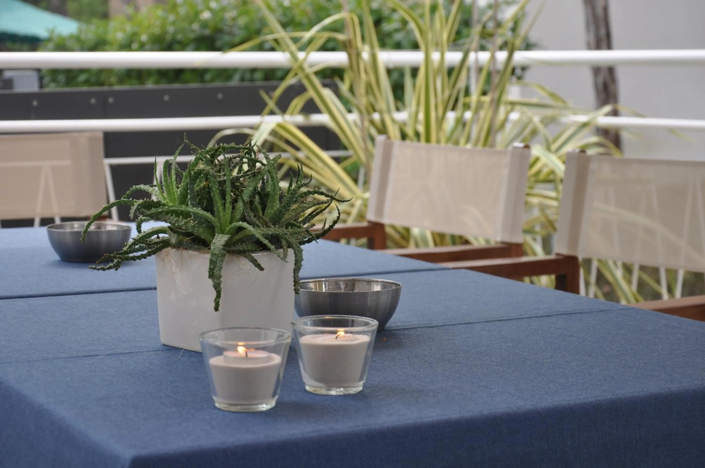 Hotel Garden