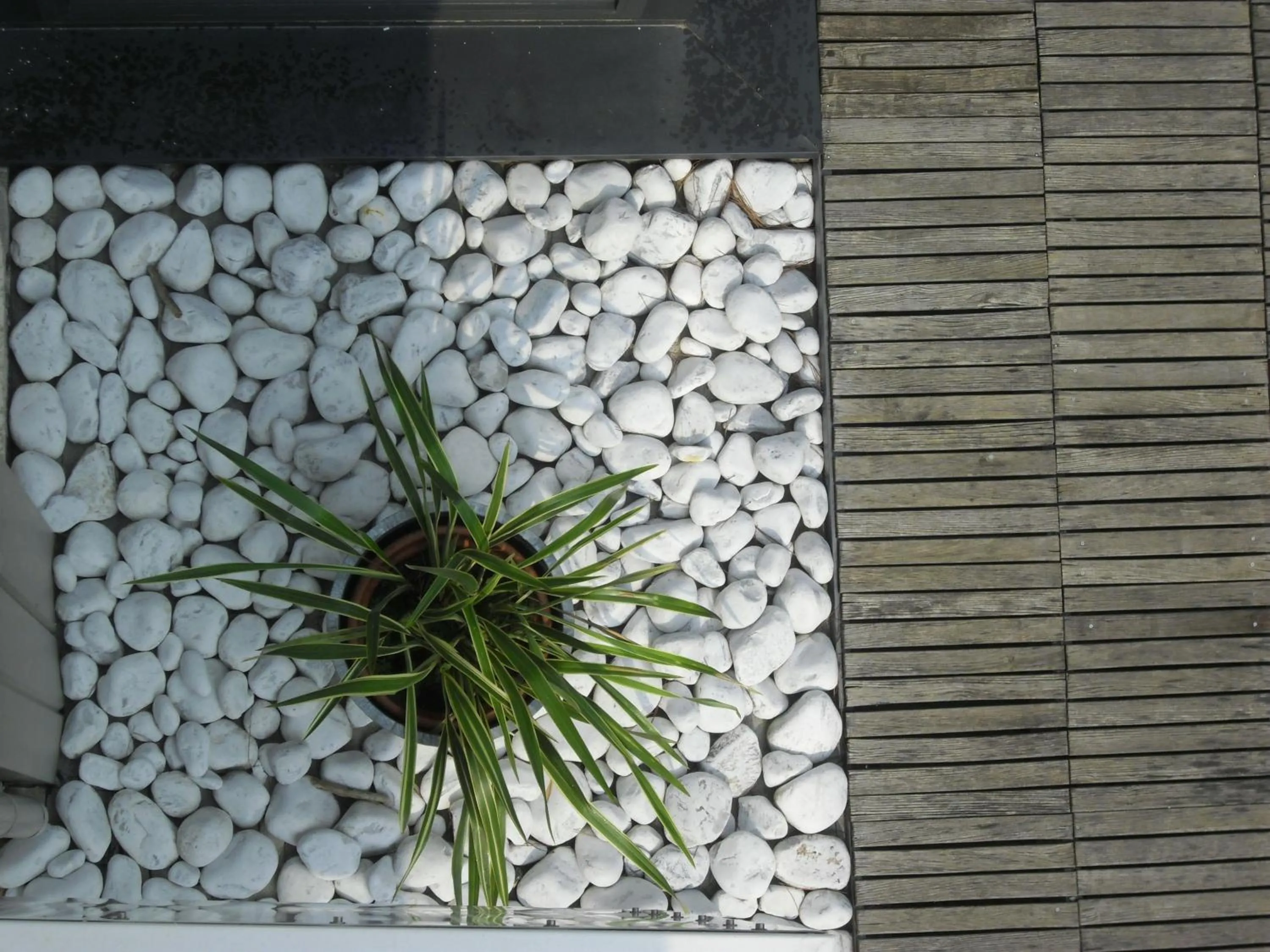 Decorative detail in Hotel Garden