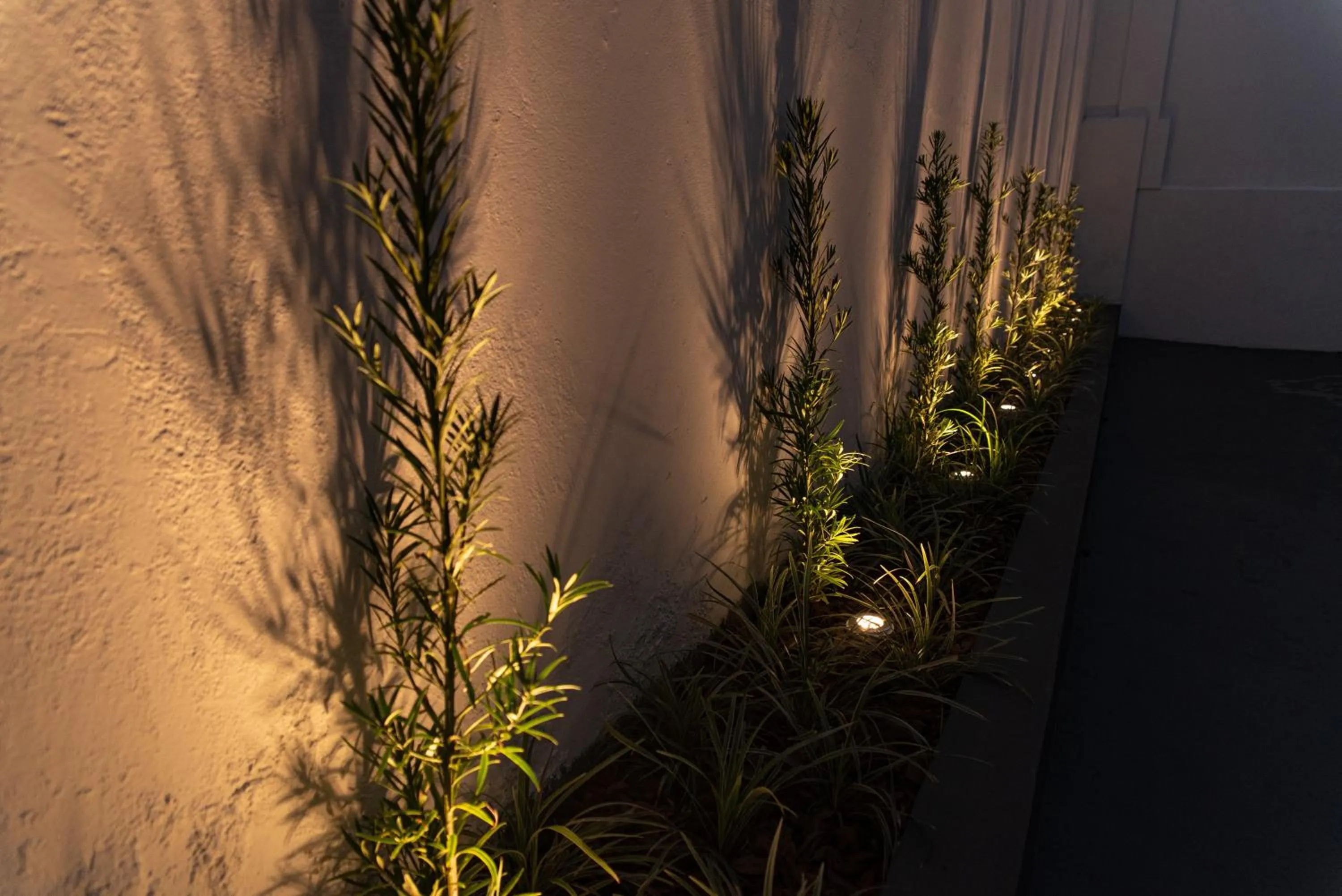 Garden in Hotel Descalvado