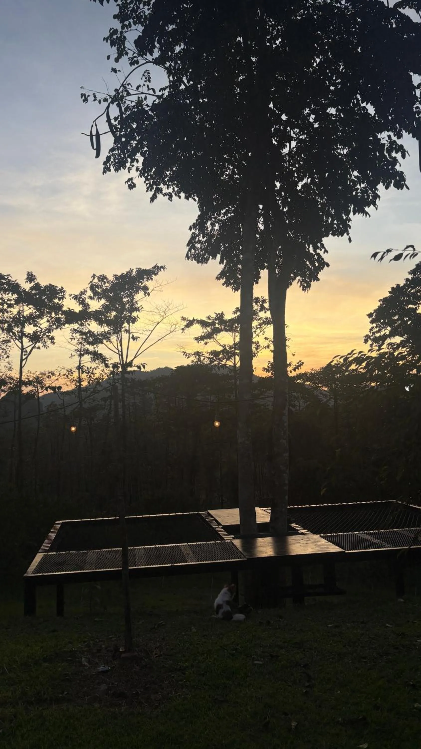 Khao Sok Hill Top Resort