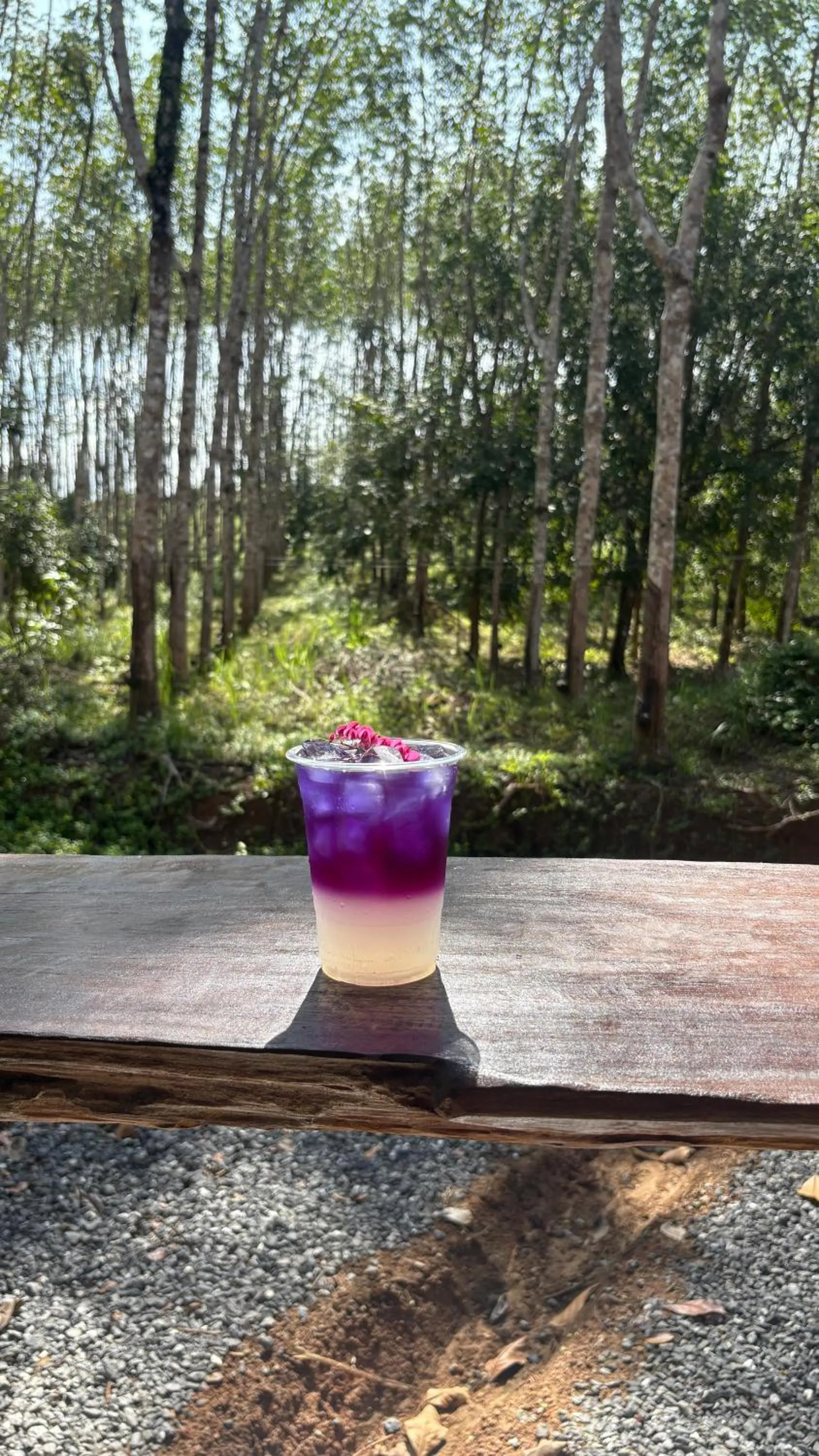 Khao Sok Hill Top Resort