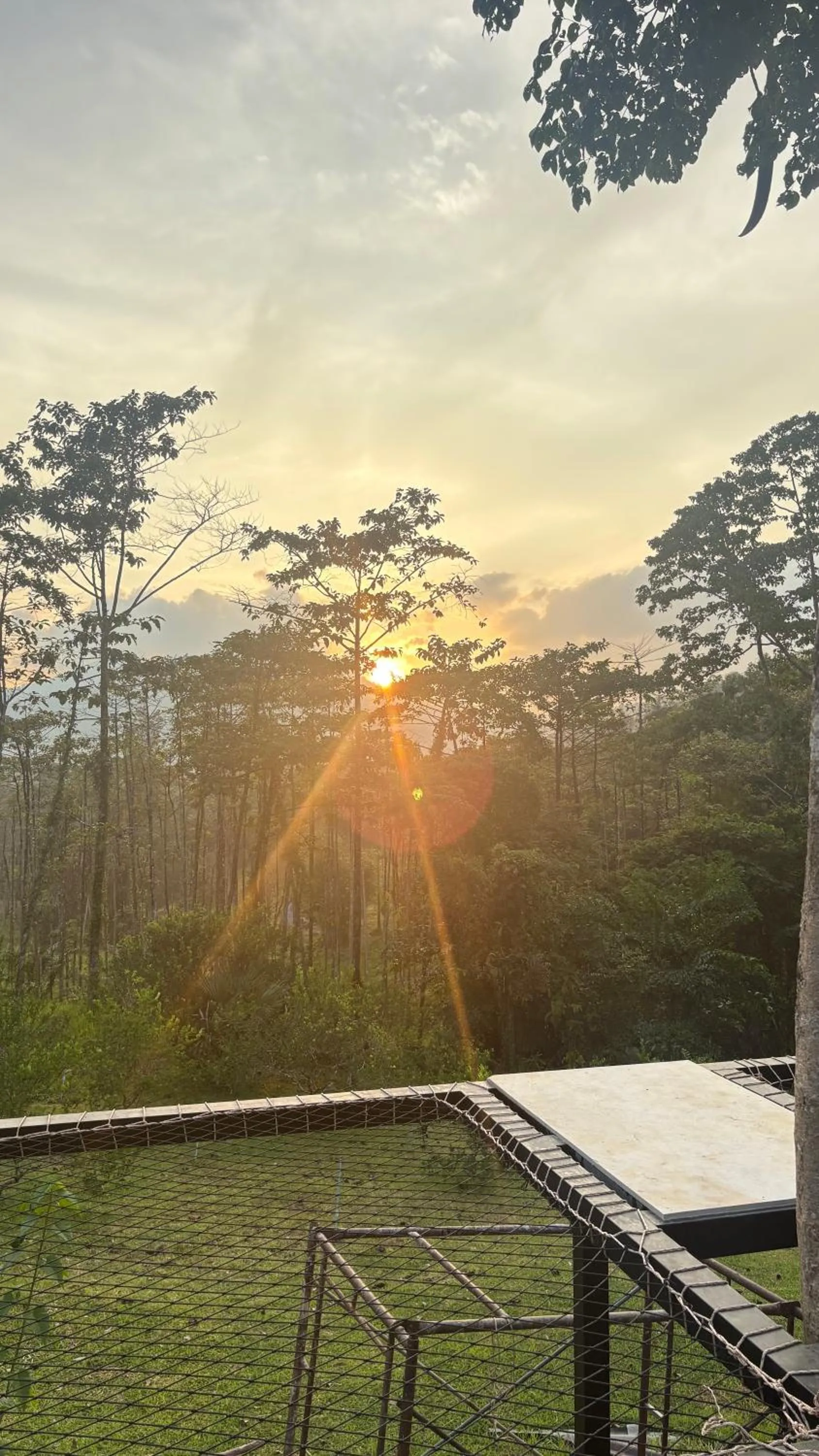 Khao Sok Hill Top Resort