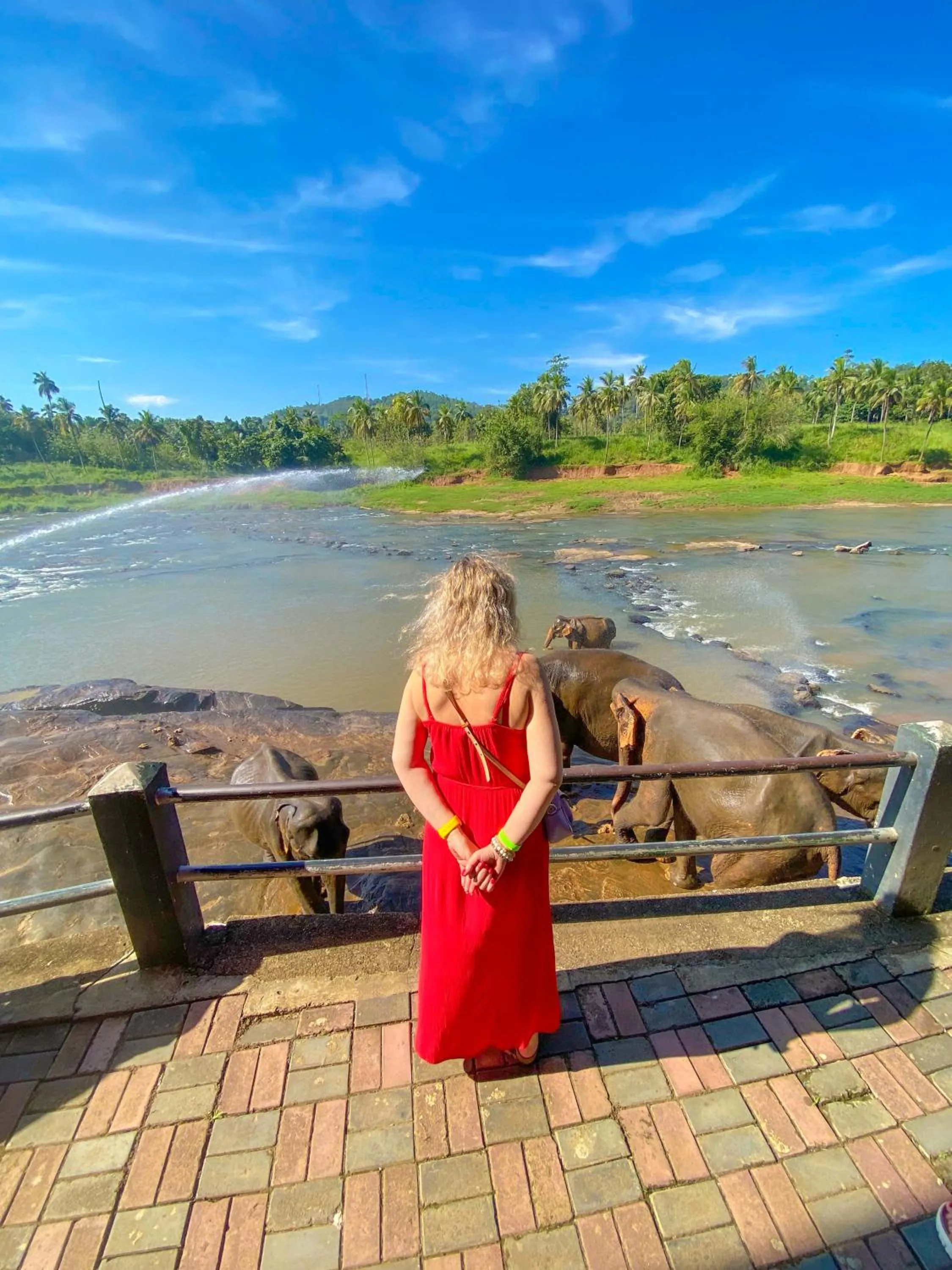 Nearby landmark in Elepath Lodge Pinnawala