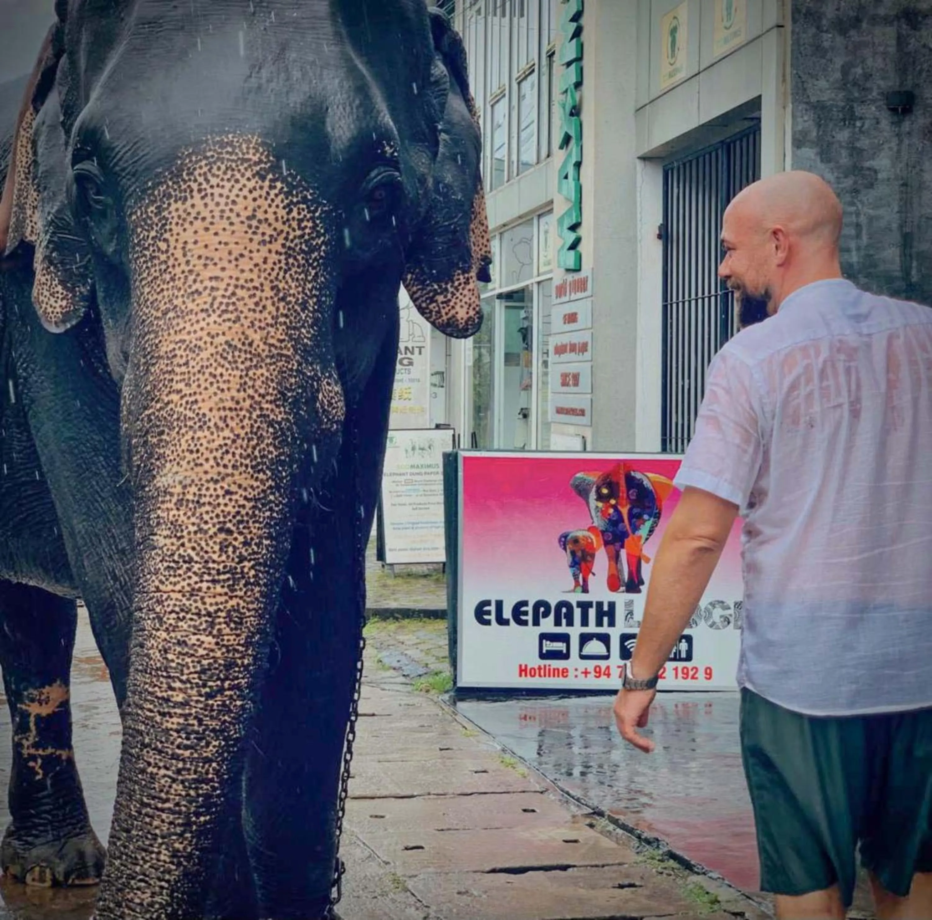 Day in Elepath Lodge Pinnawala