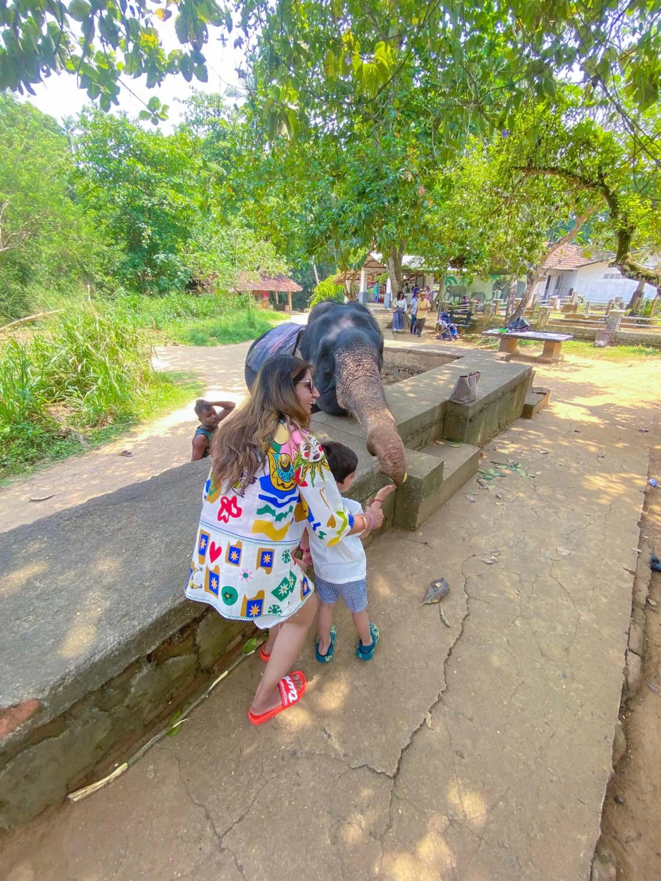 Day in Elepath Lodge Pinnawala