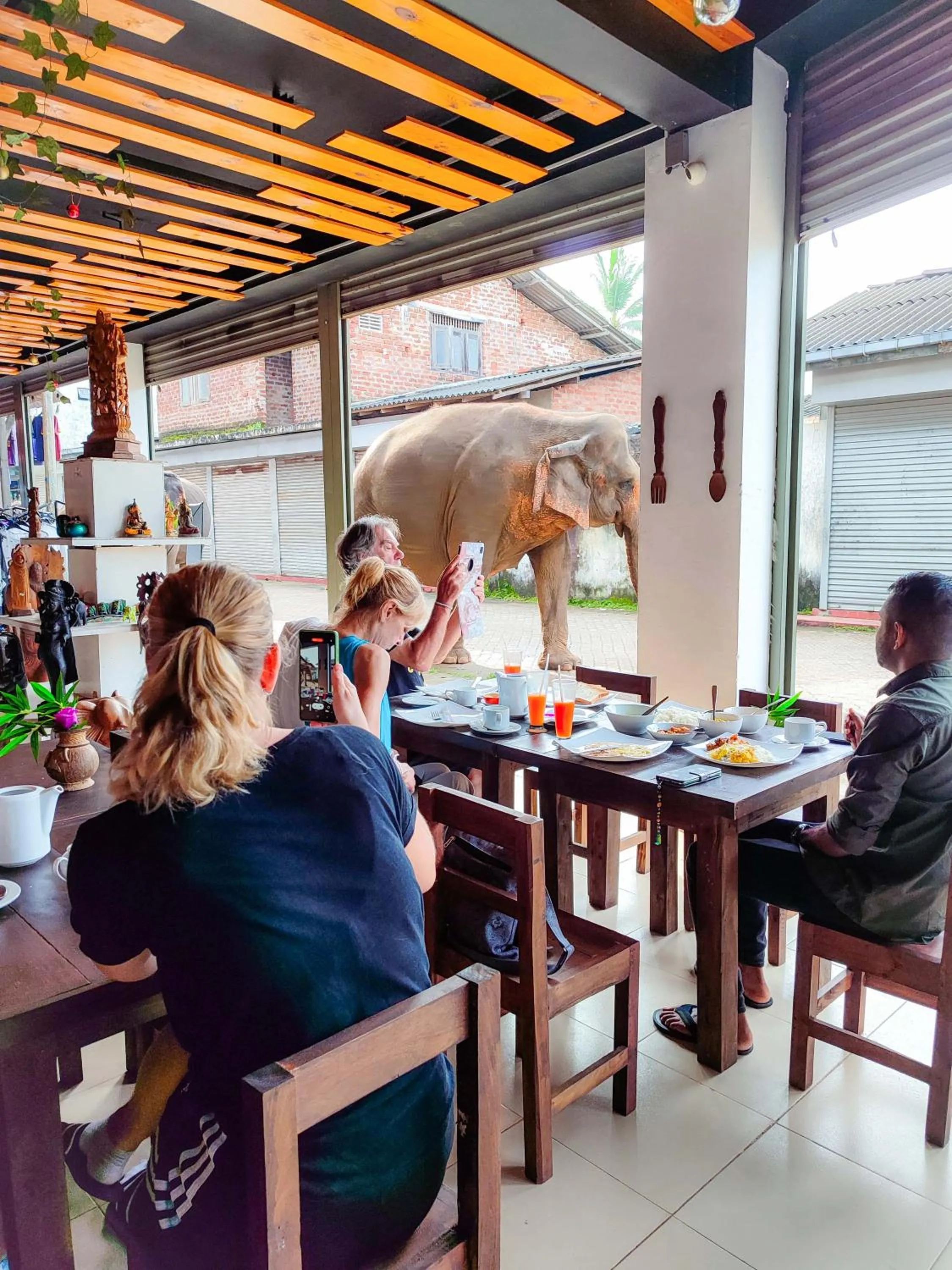 Restaurant/places to eat in Elepath Lodge Pinnawala