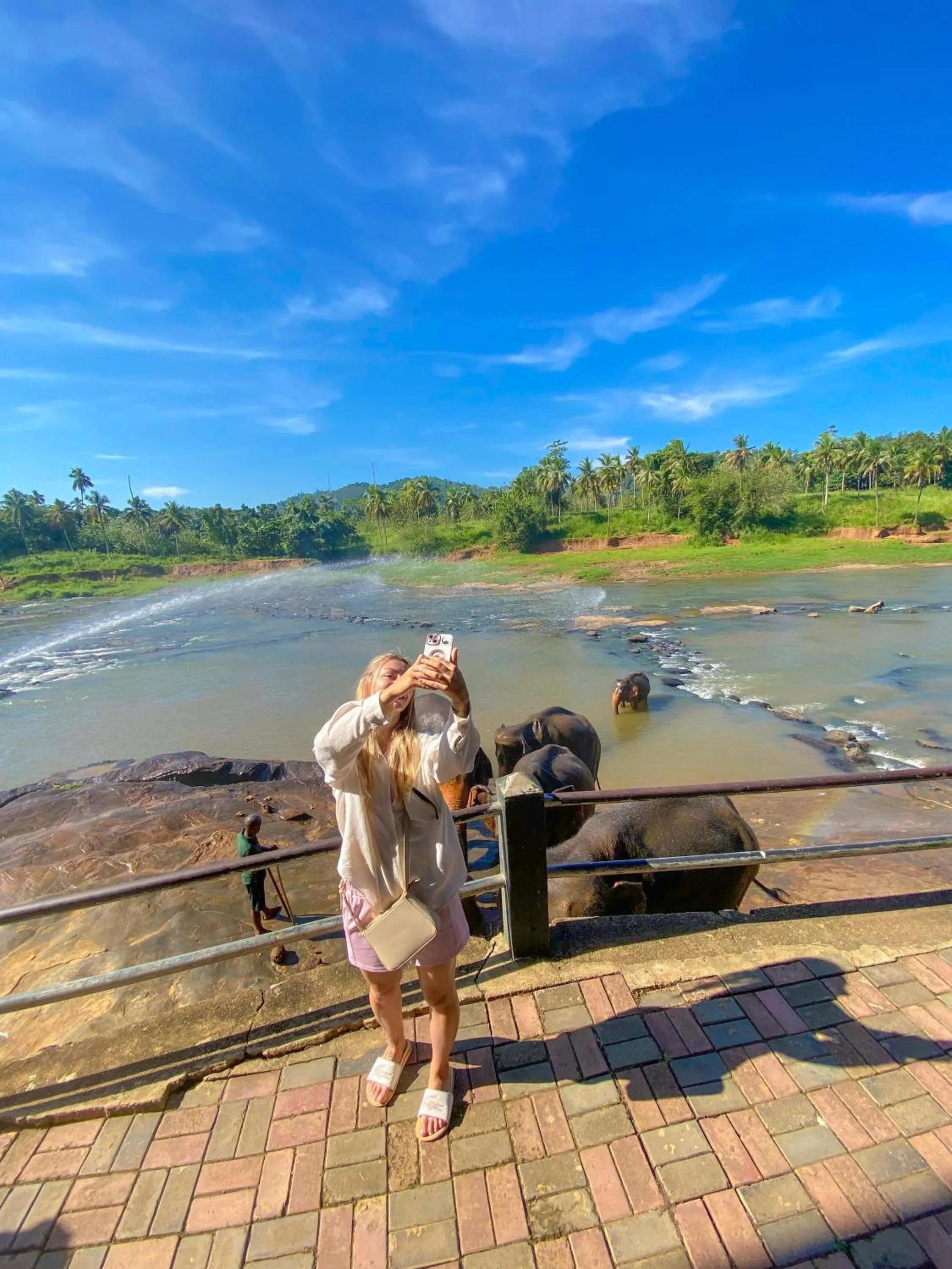 Day in Elepath Lodge Pinnawala