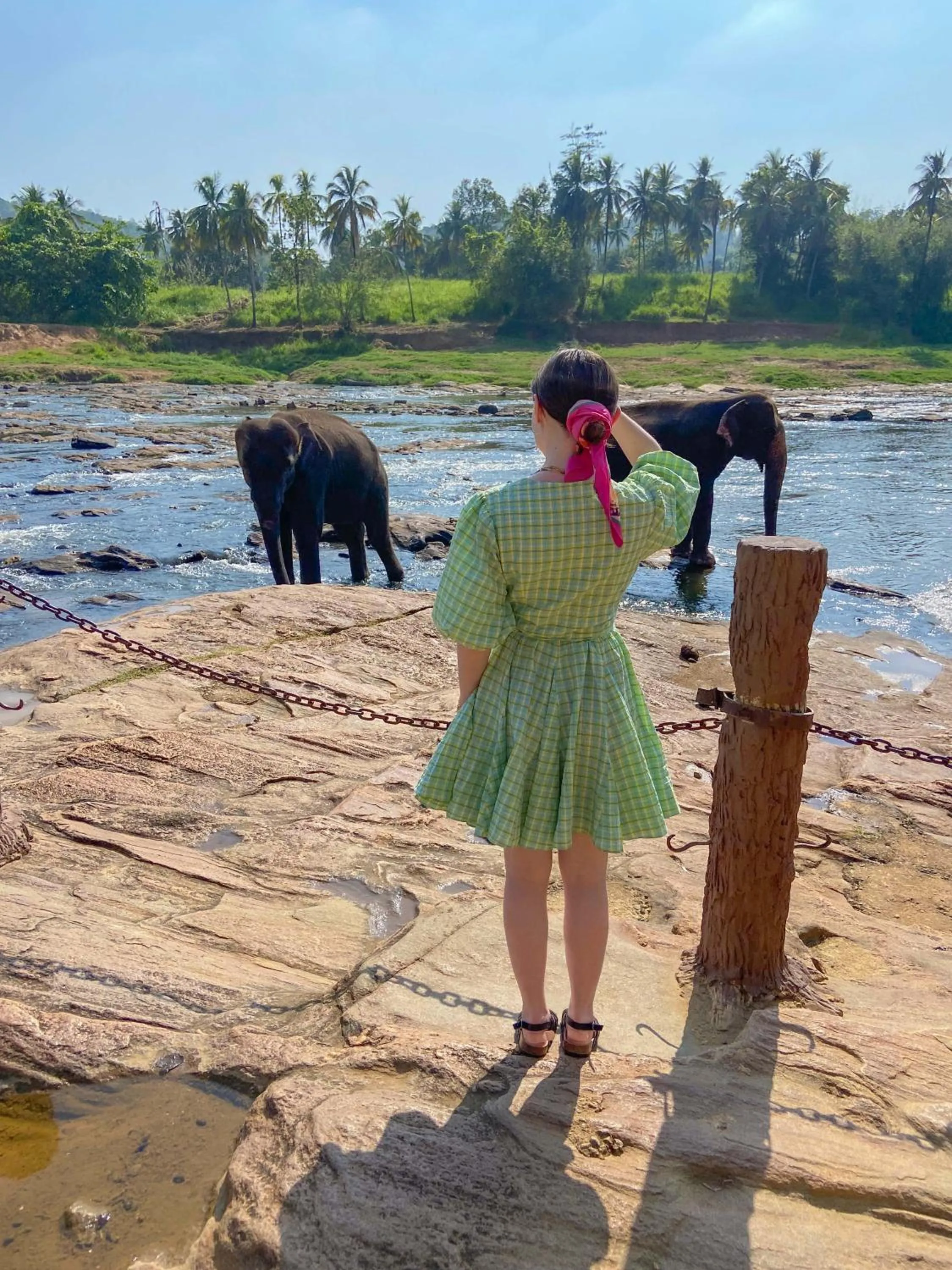 Nearby landmark in Elepath Lodge Pinnawala