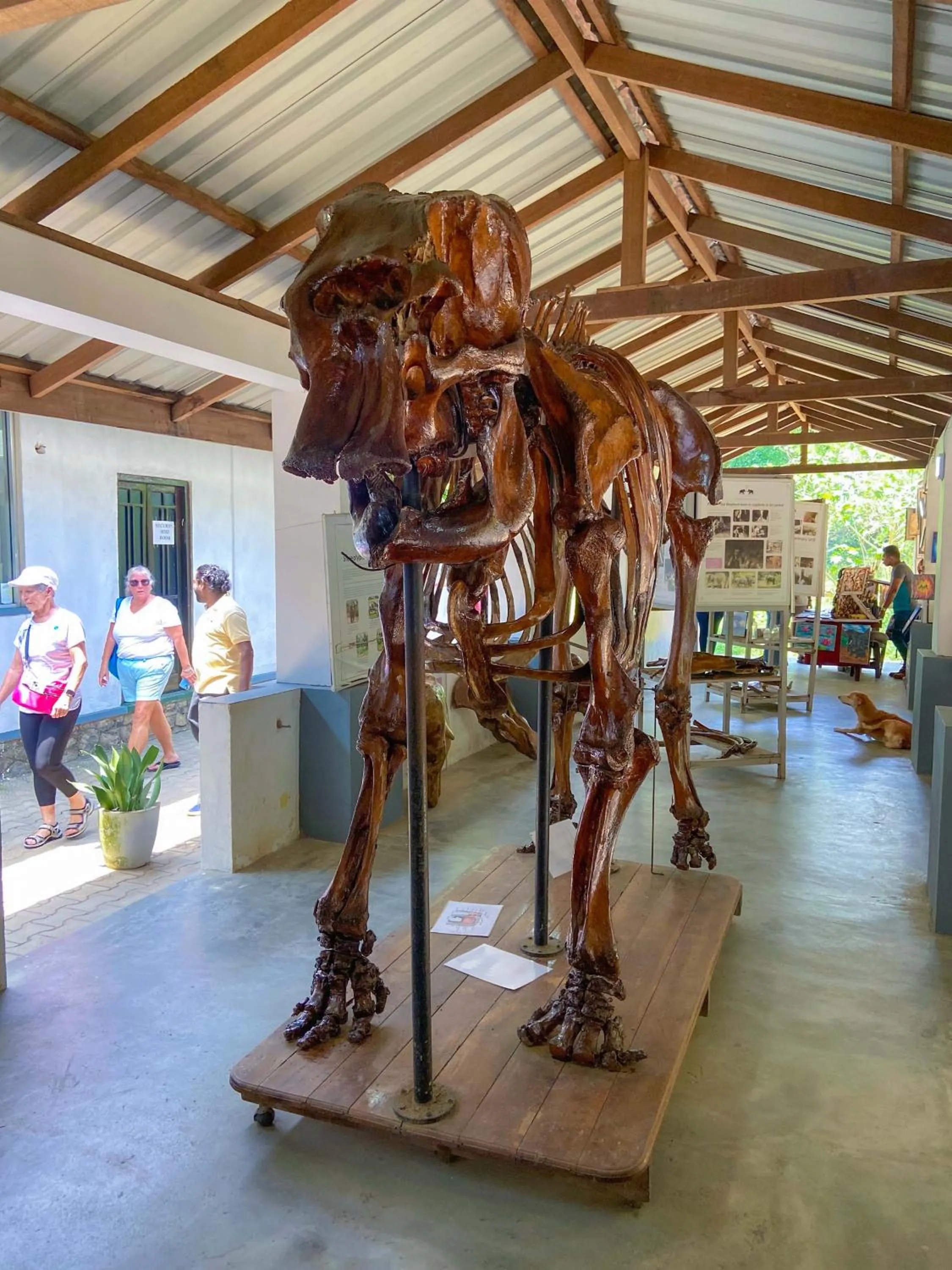 Nearby landmark in Elepath Lodge Pinnawala