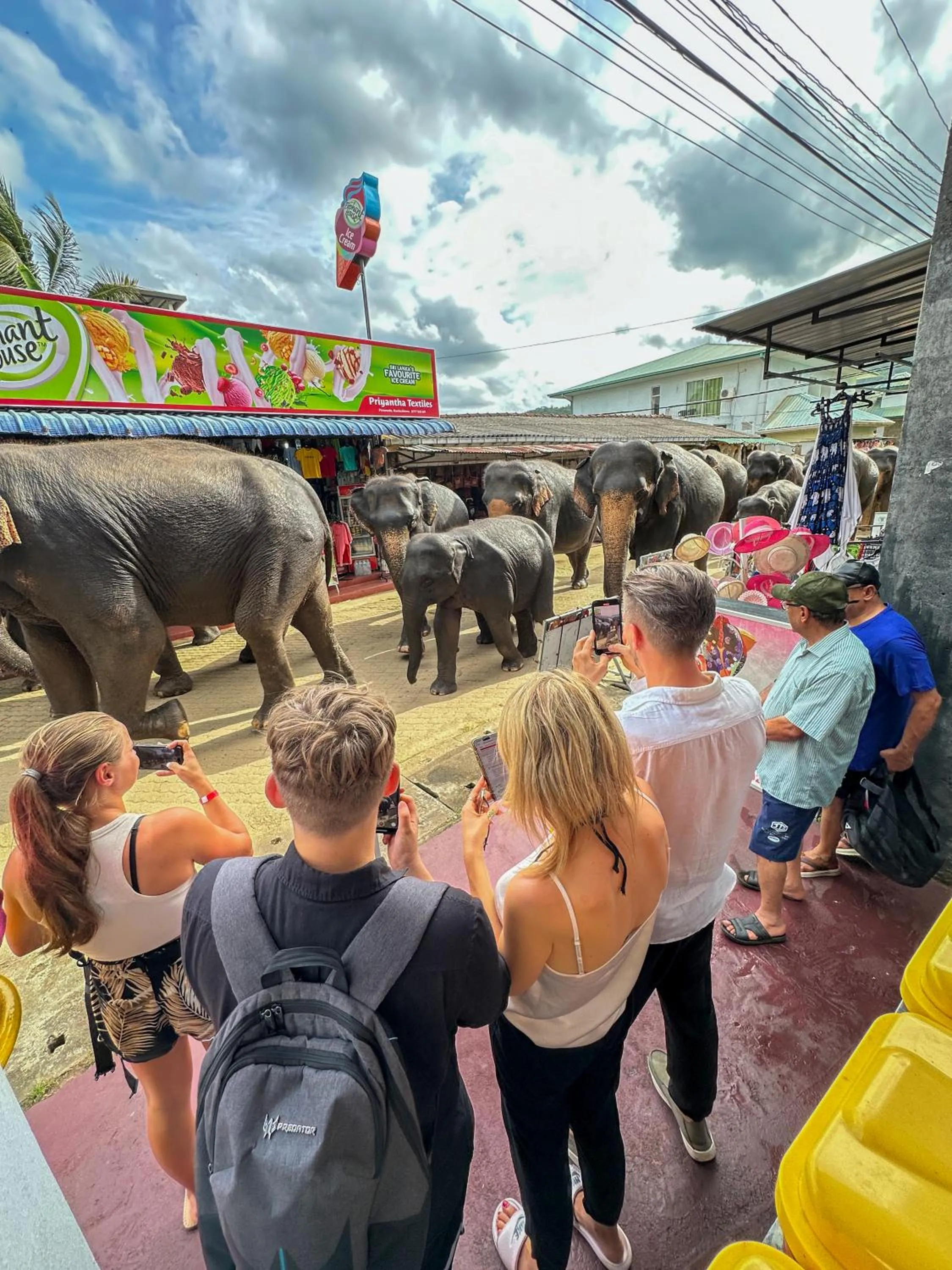 People in Elepath Lodge Pinnawala