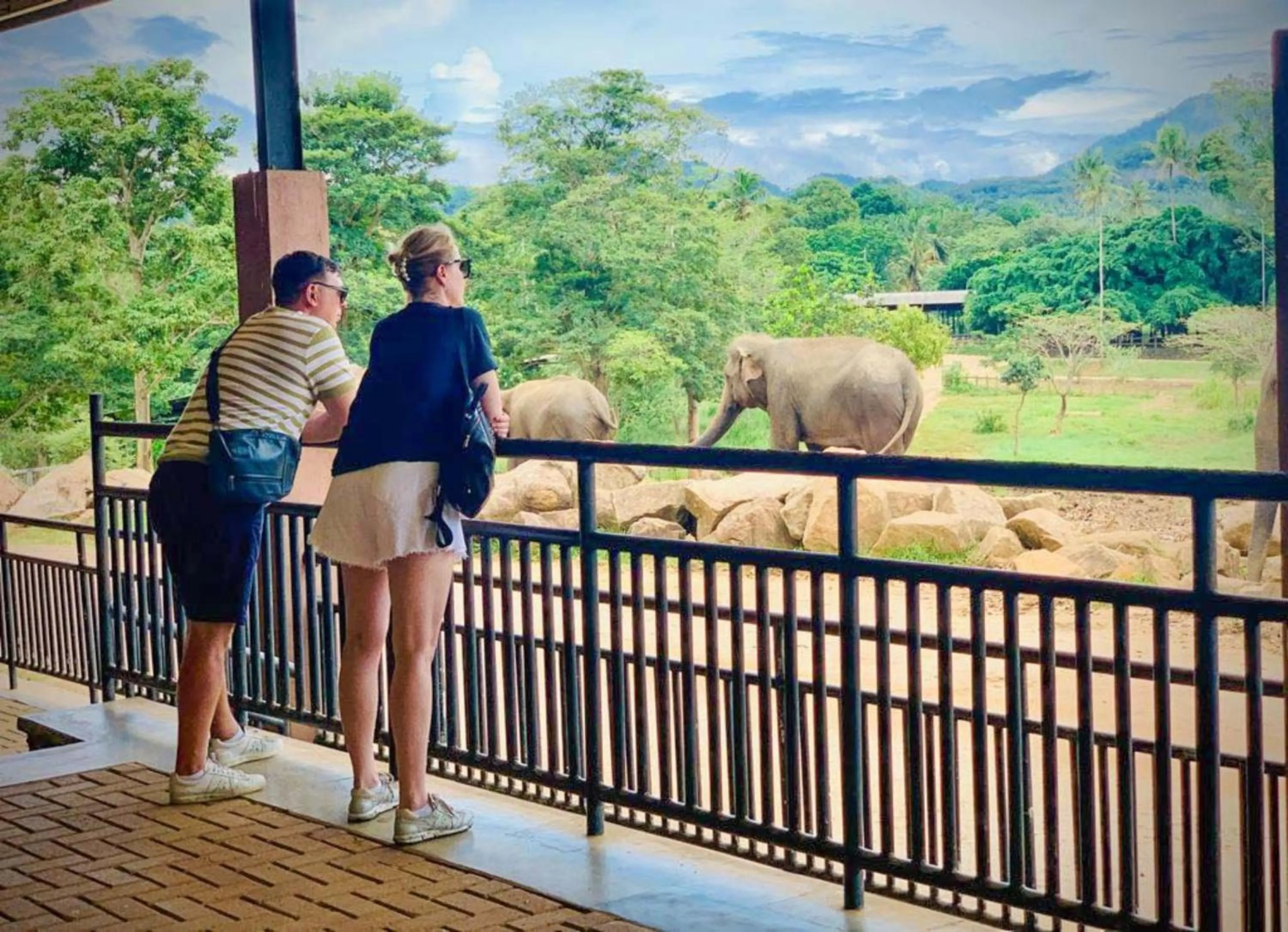 Nearby landmark in Elepath Lodge Pinnawala