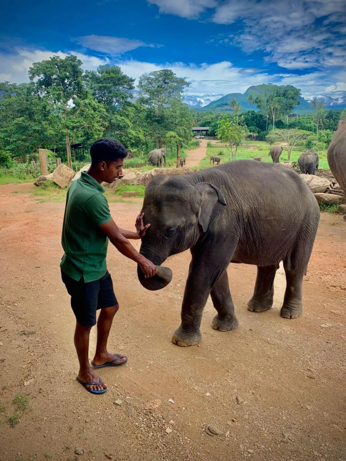 Nearby landmark in Elepath Lodge Pinnawala