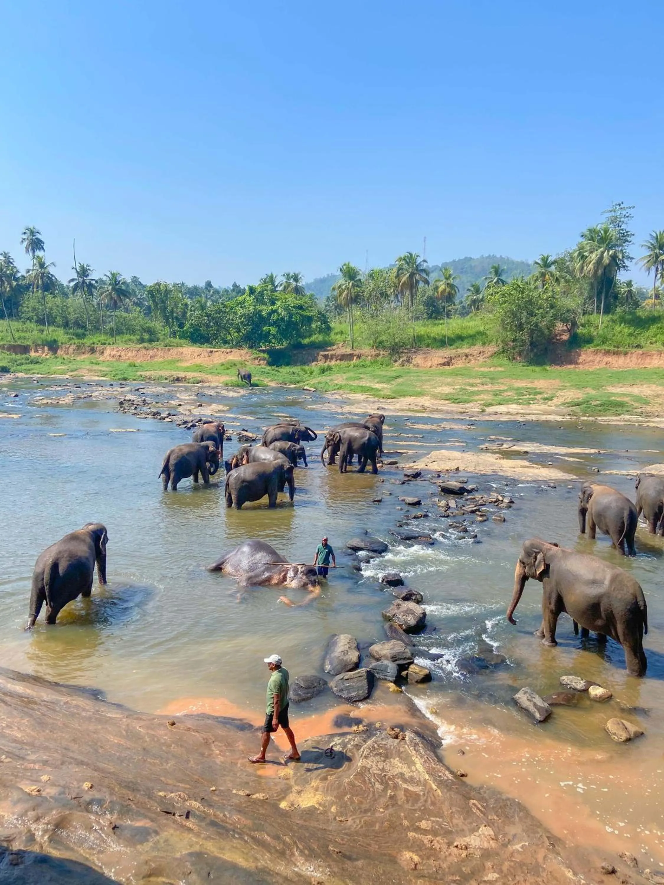 Nearby landmark in Elepath Lodge Pinnawala