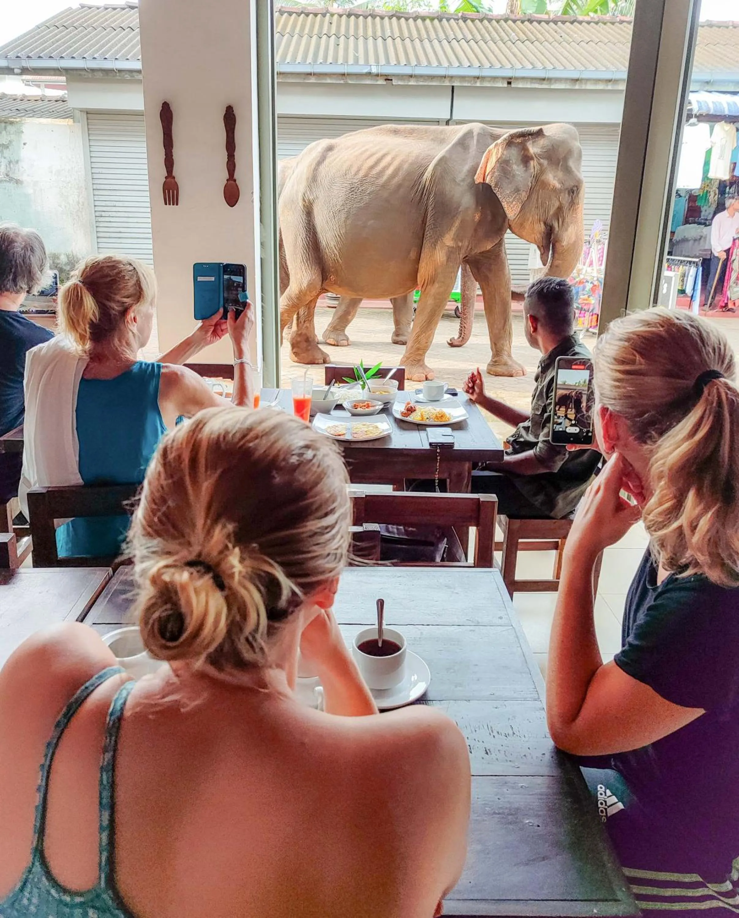 Restaurant/places to eat in Elepath Lodge Pinnawala