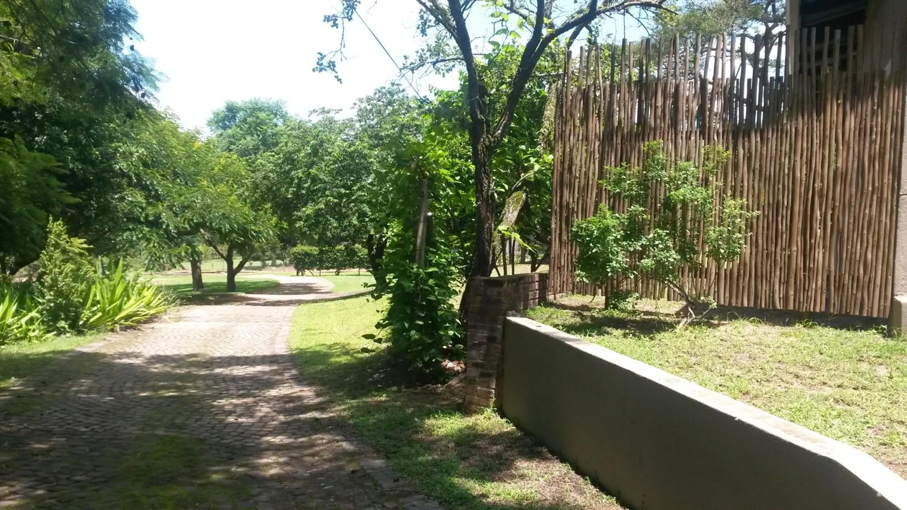 Garden in 5th Seasons Guesthouse