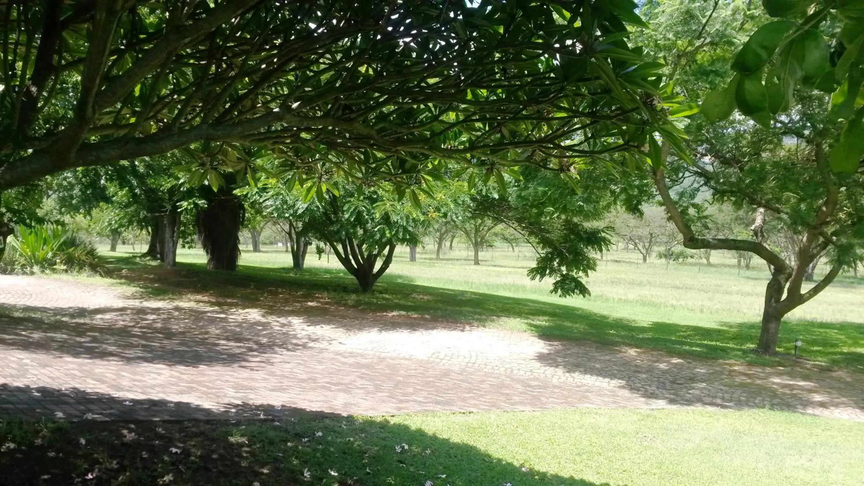 Garden in 5th Seasons Guesthouse