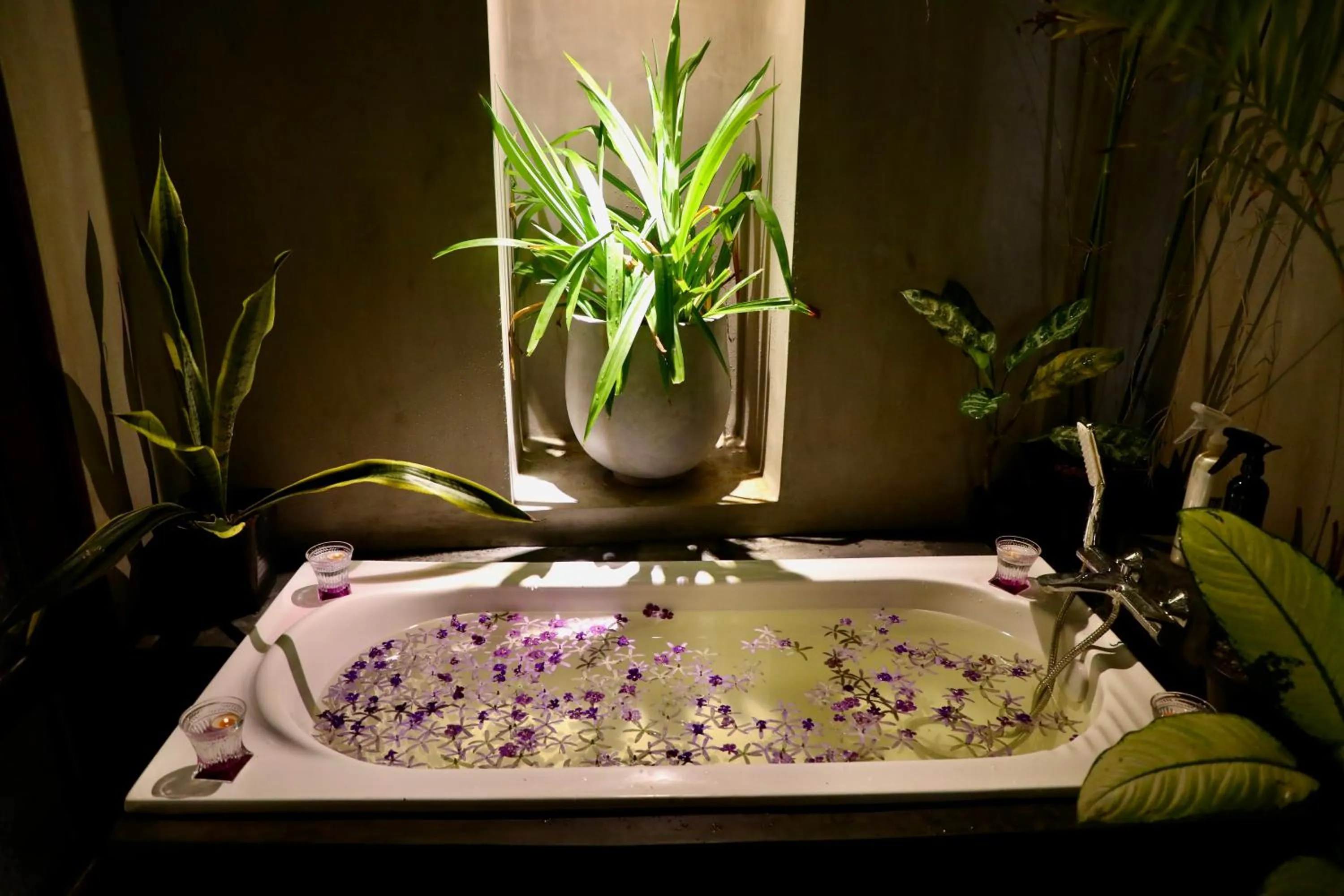 Bathroom in The Jini House