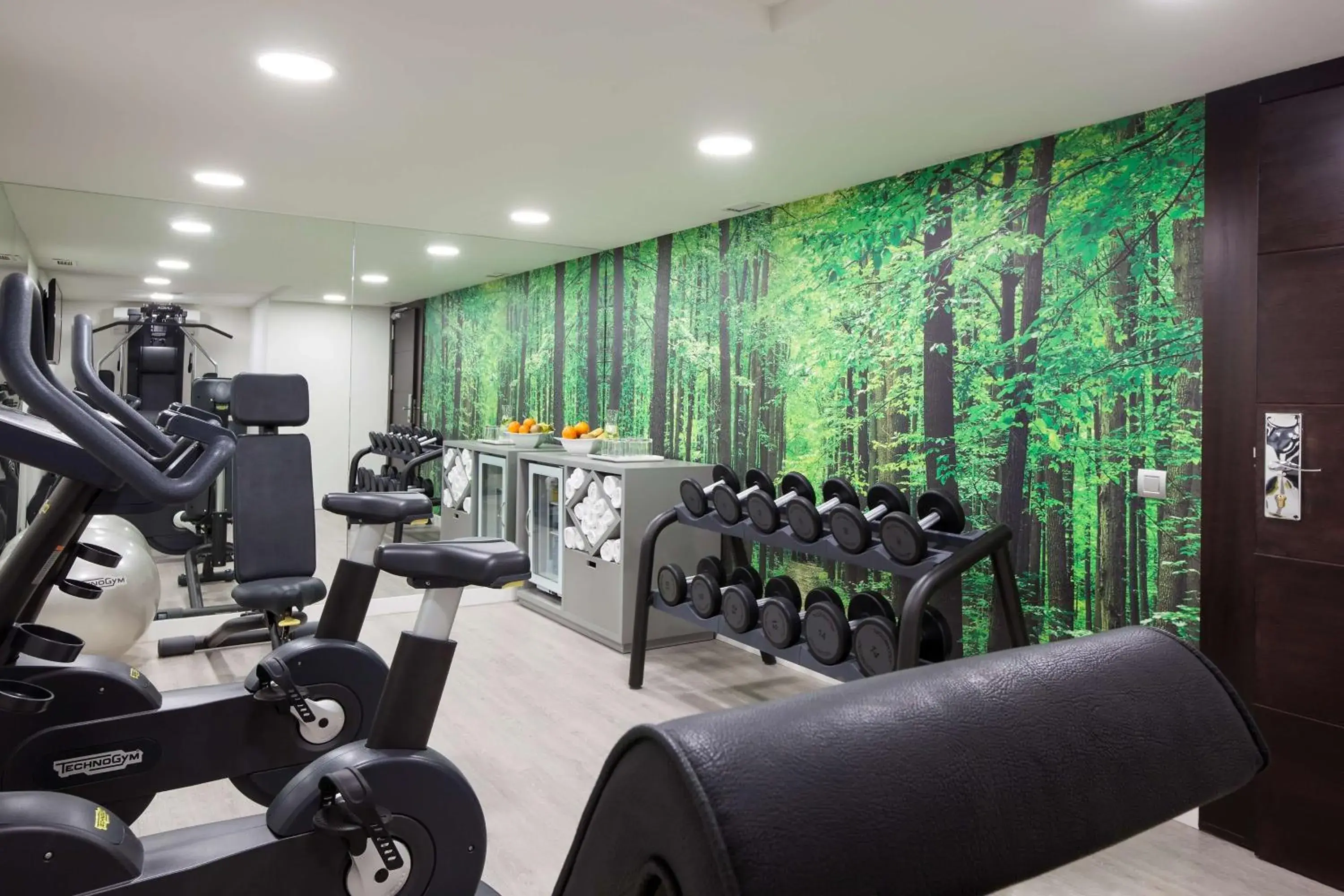 Fitness centre/facilities in NH Madrid Lagasca Fitness centre/facilities in NH Madrid Lagasca