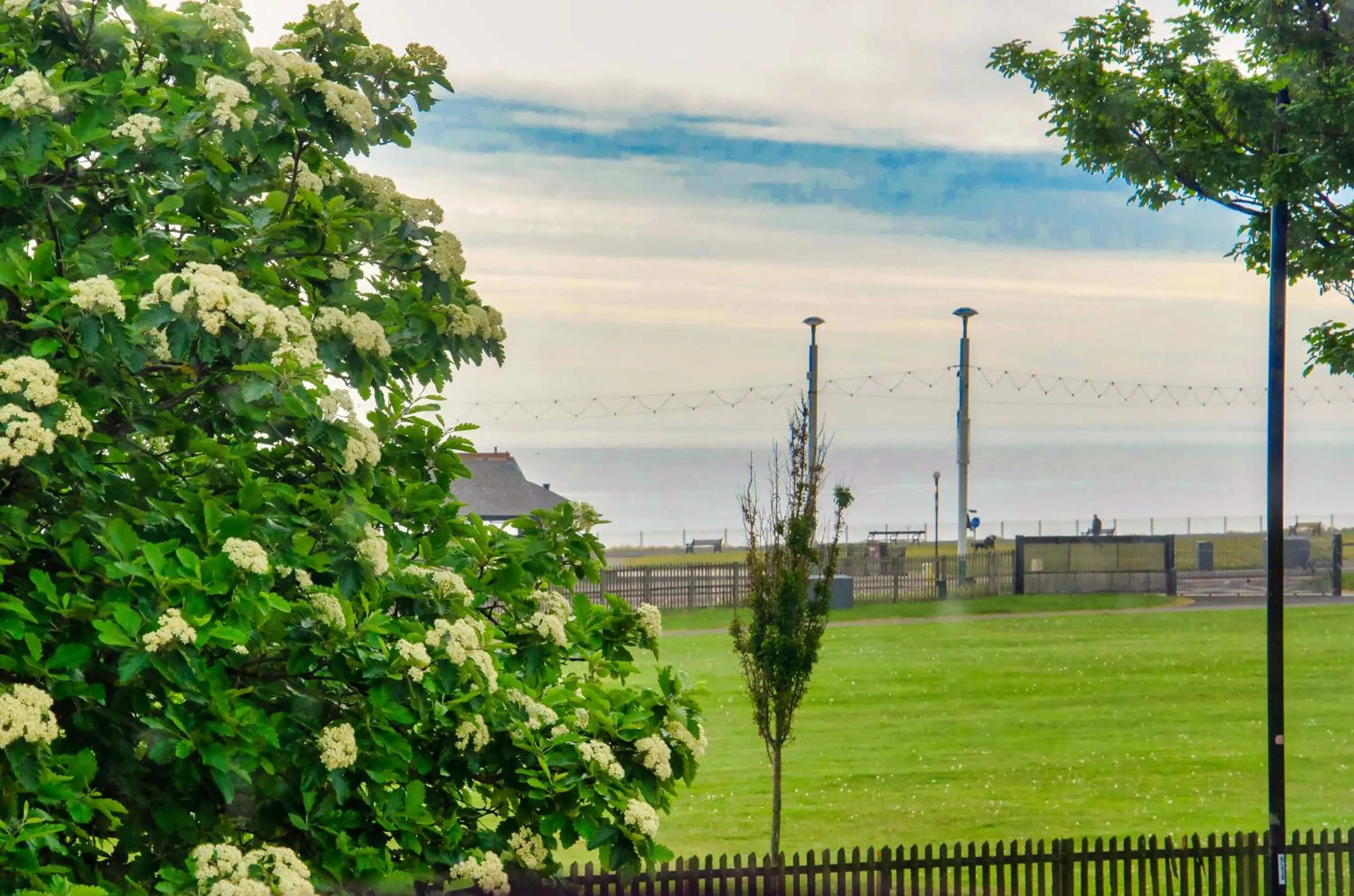 Sea view in The Lemonfield Hotel