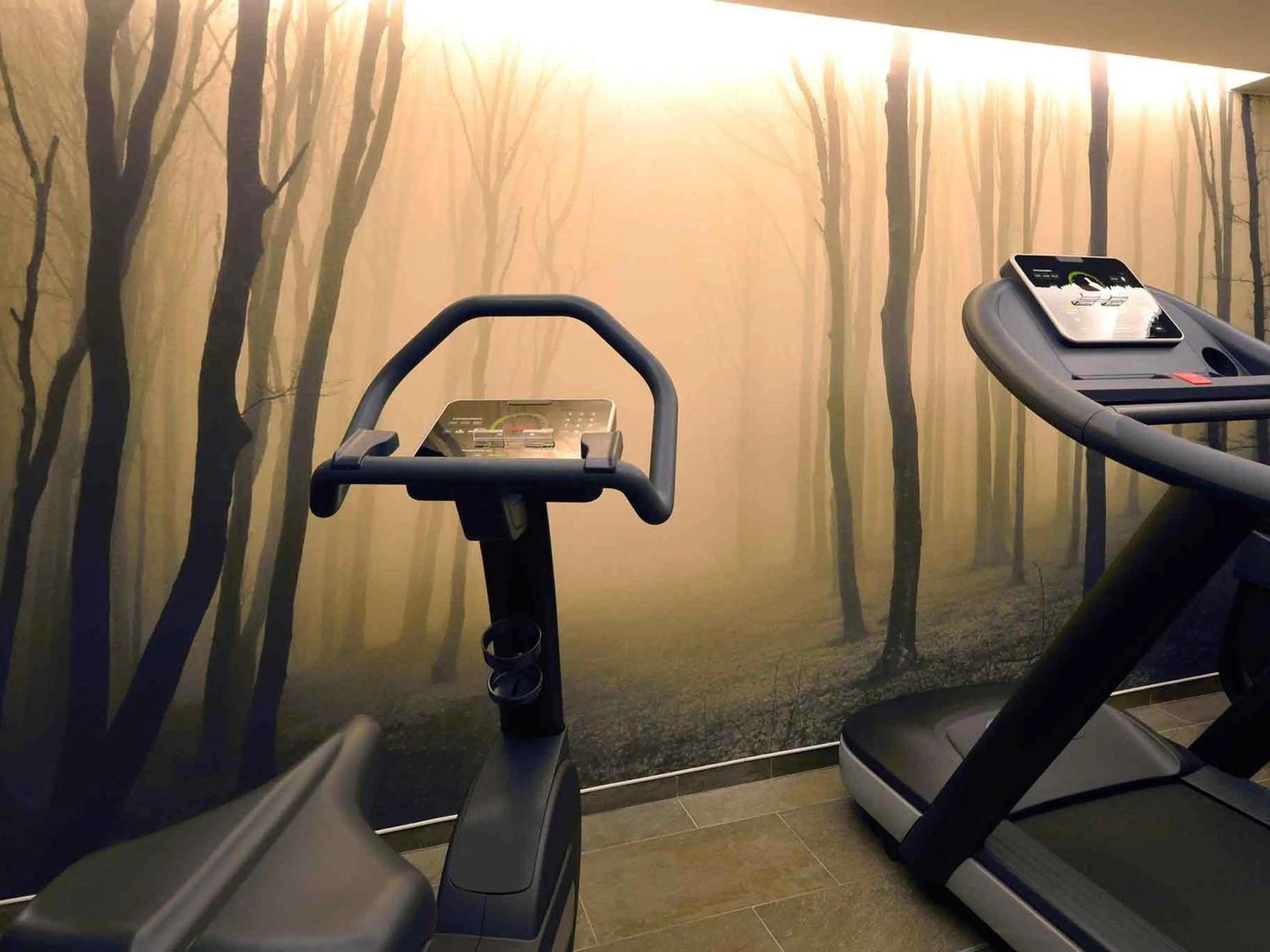 Fitness centre/facilities in Balthazar Hotel & Spa Rennes - MGallery Collection