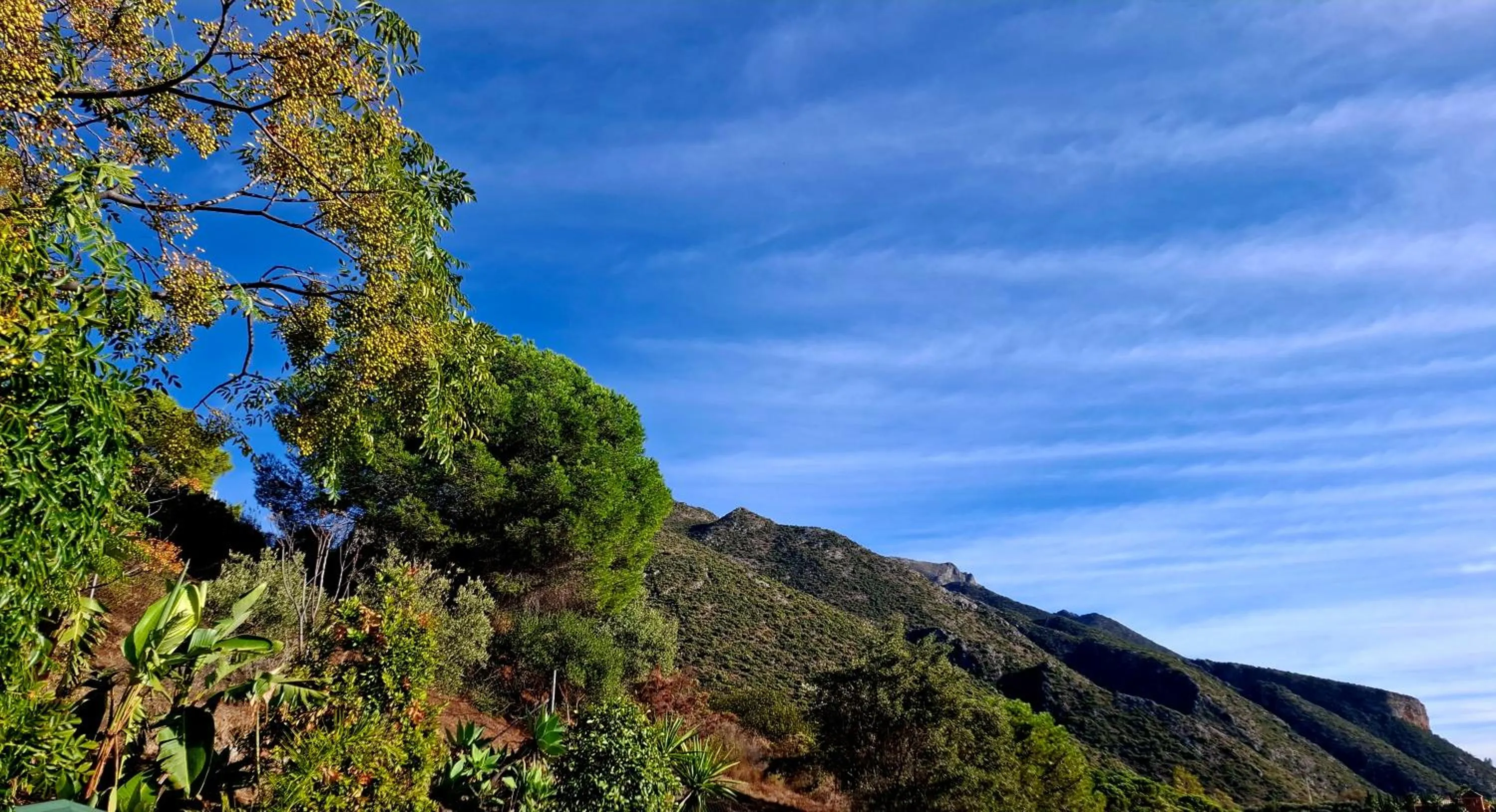 Natural landscape in Hotel Rural Los Jarales