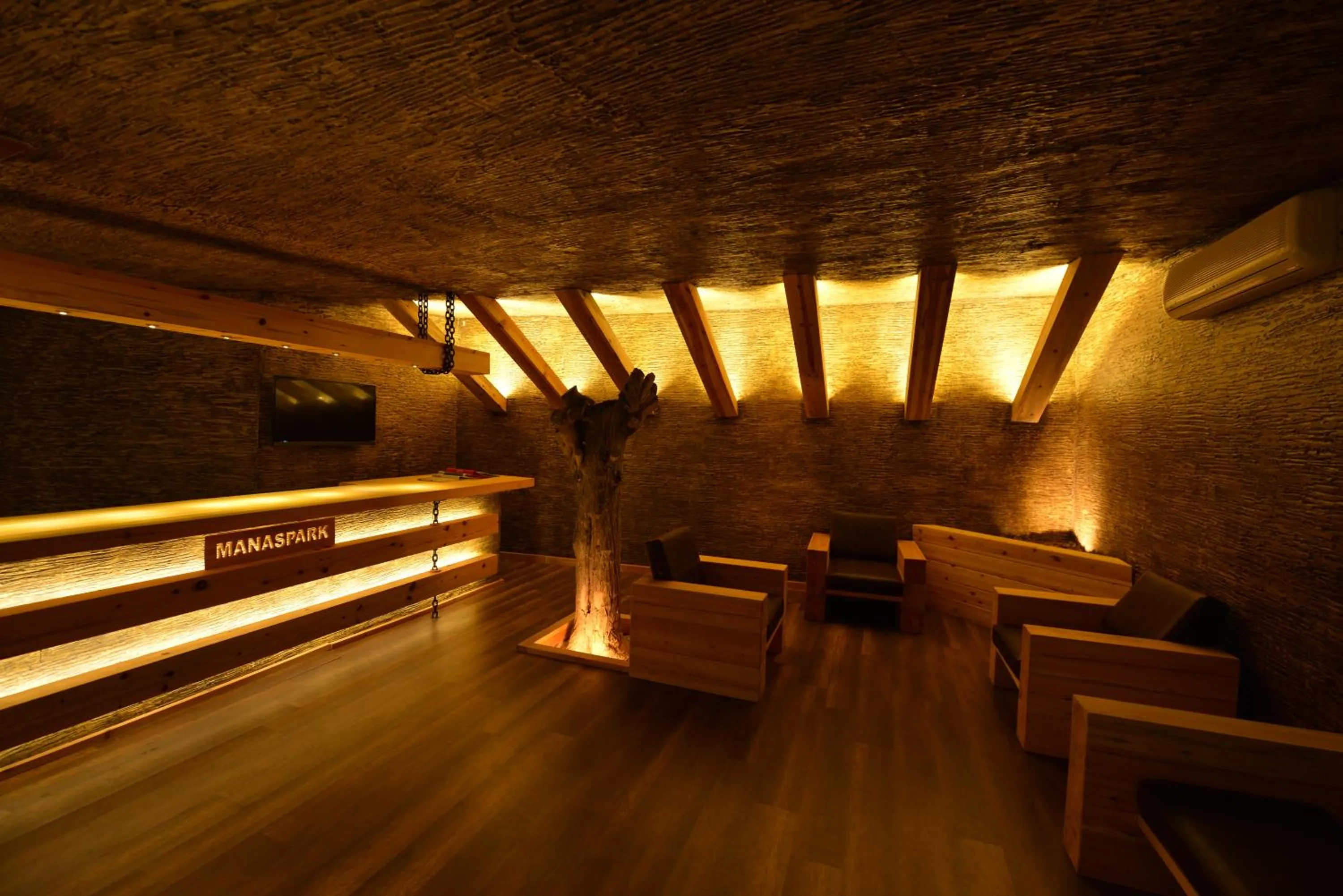 Lobby or reception in Manaspark Deluxe Hotel