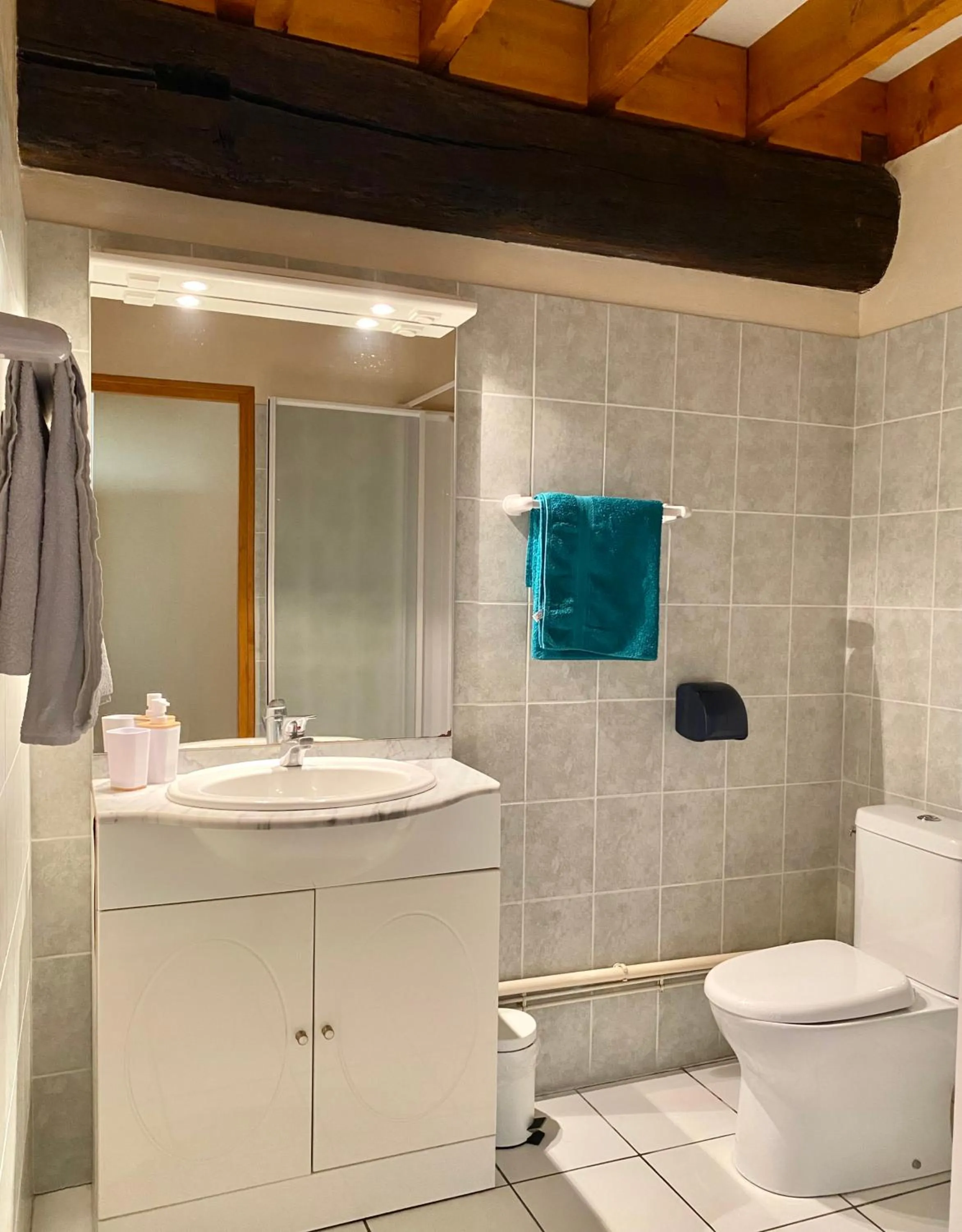 Shower, Bathroom in Domaine du Cellier de la Couronne