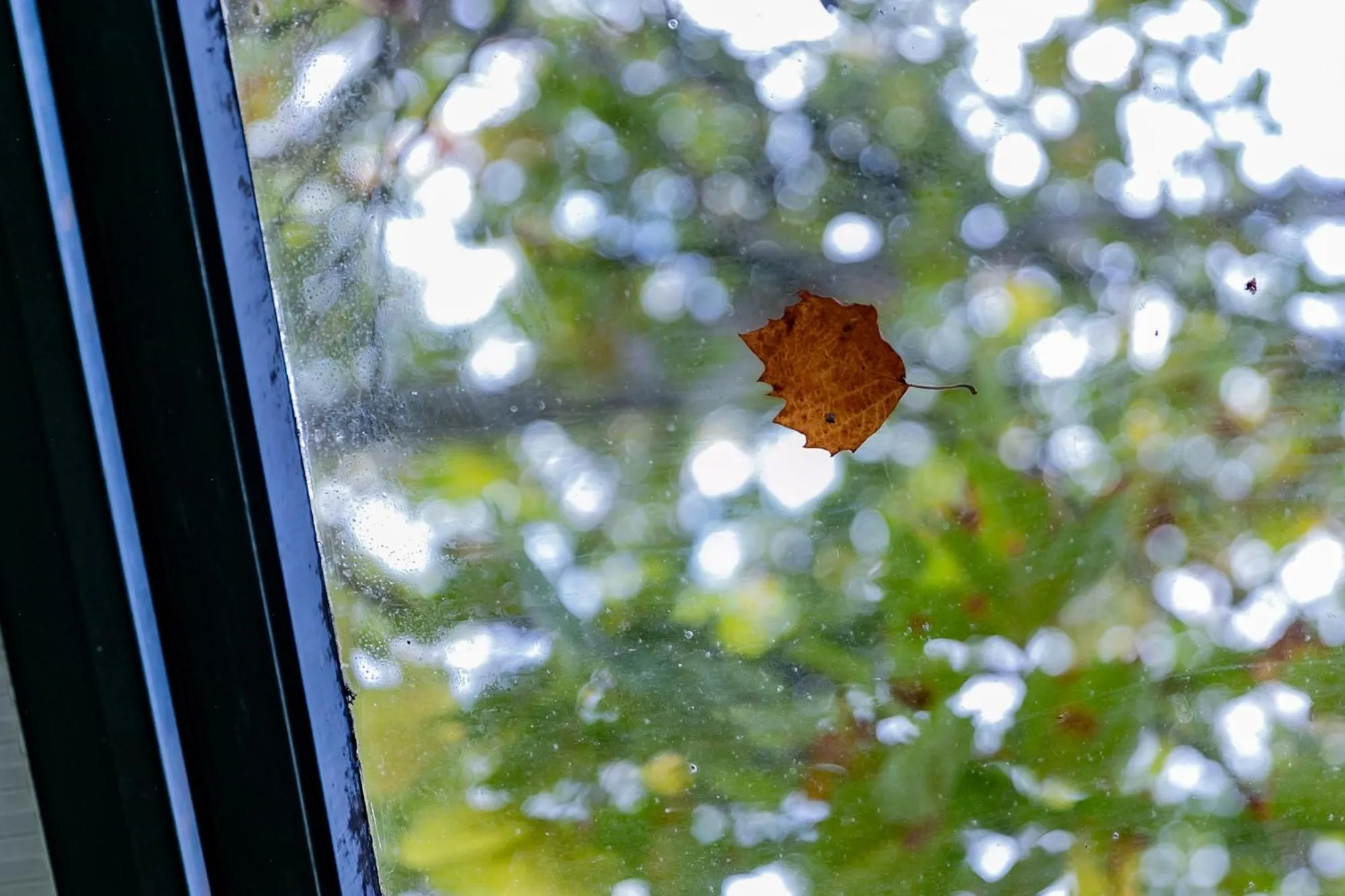 Motel1- A megfizethető luxus!