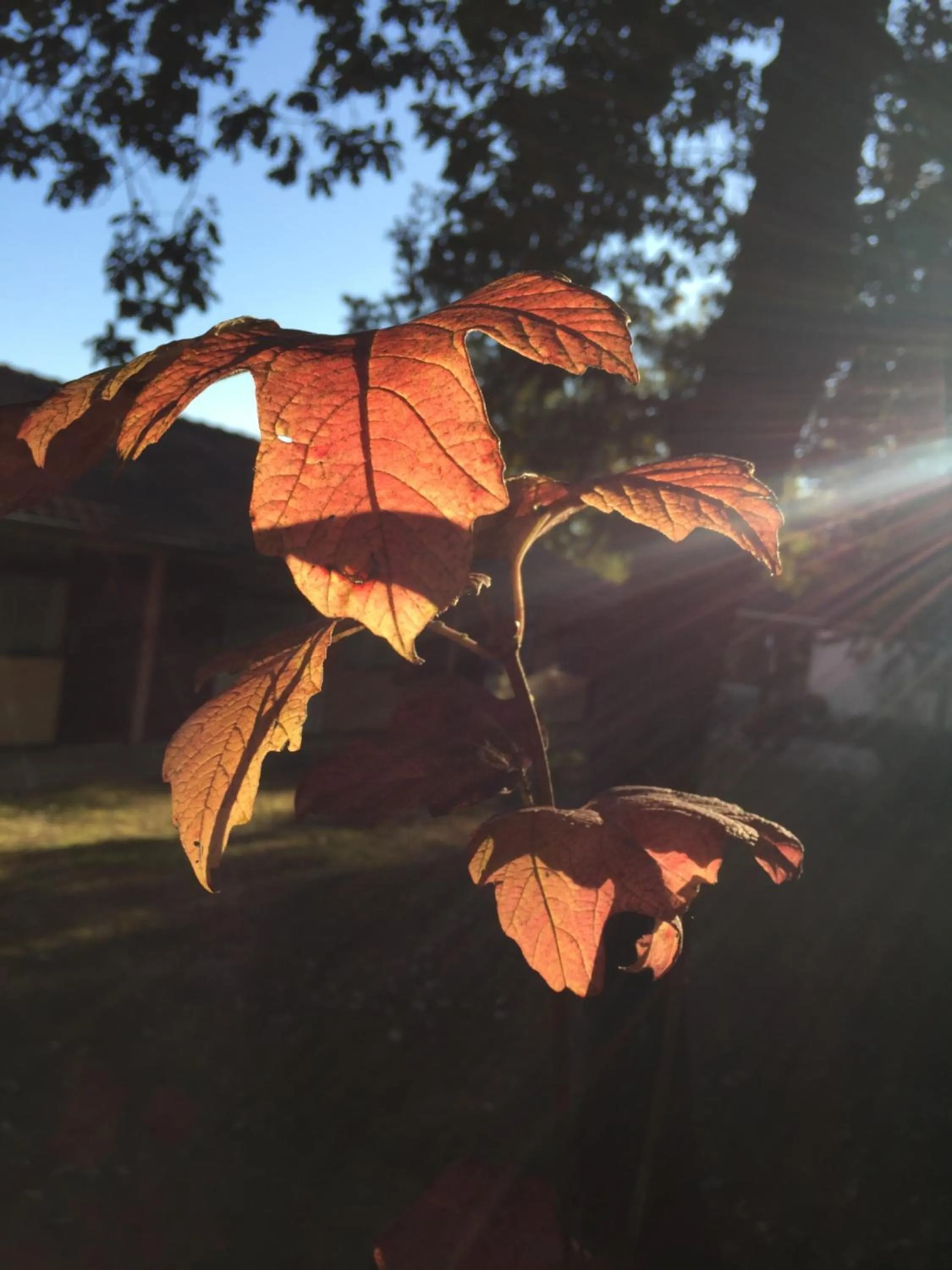 Property building in Résidence Thibaud
