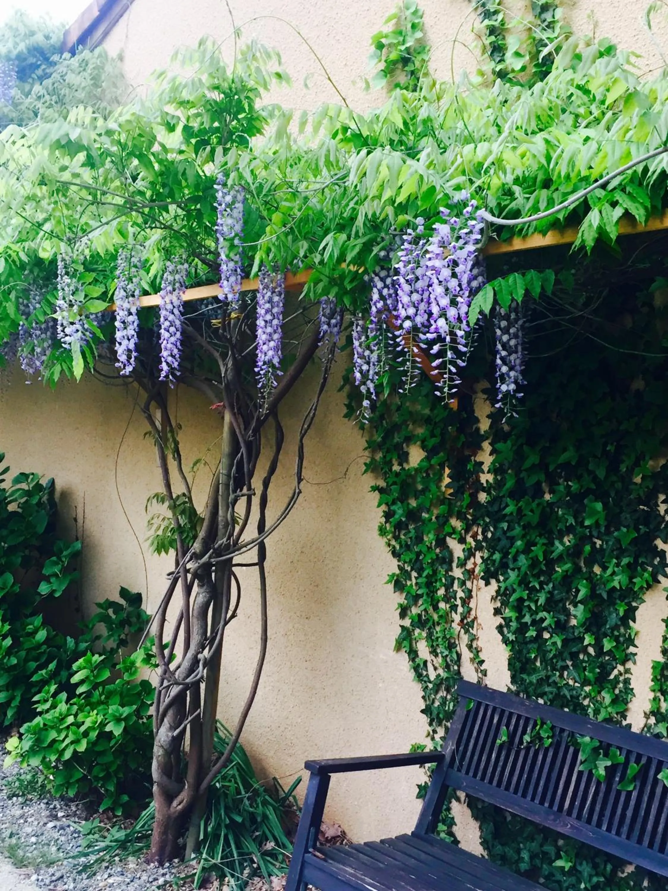  in Résidence Thibaud