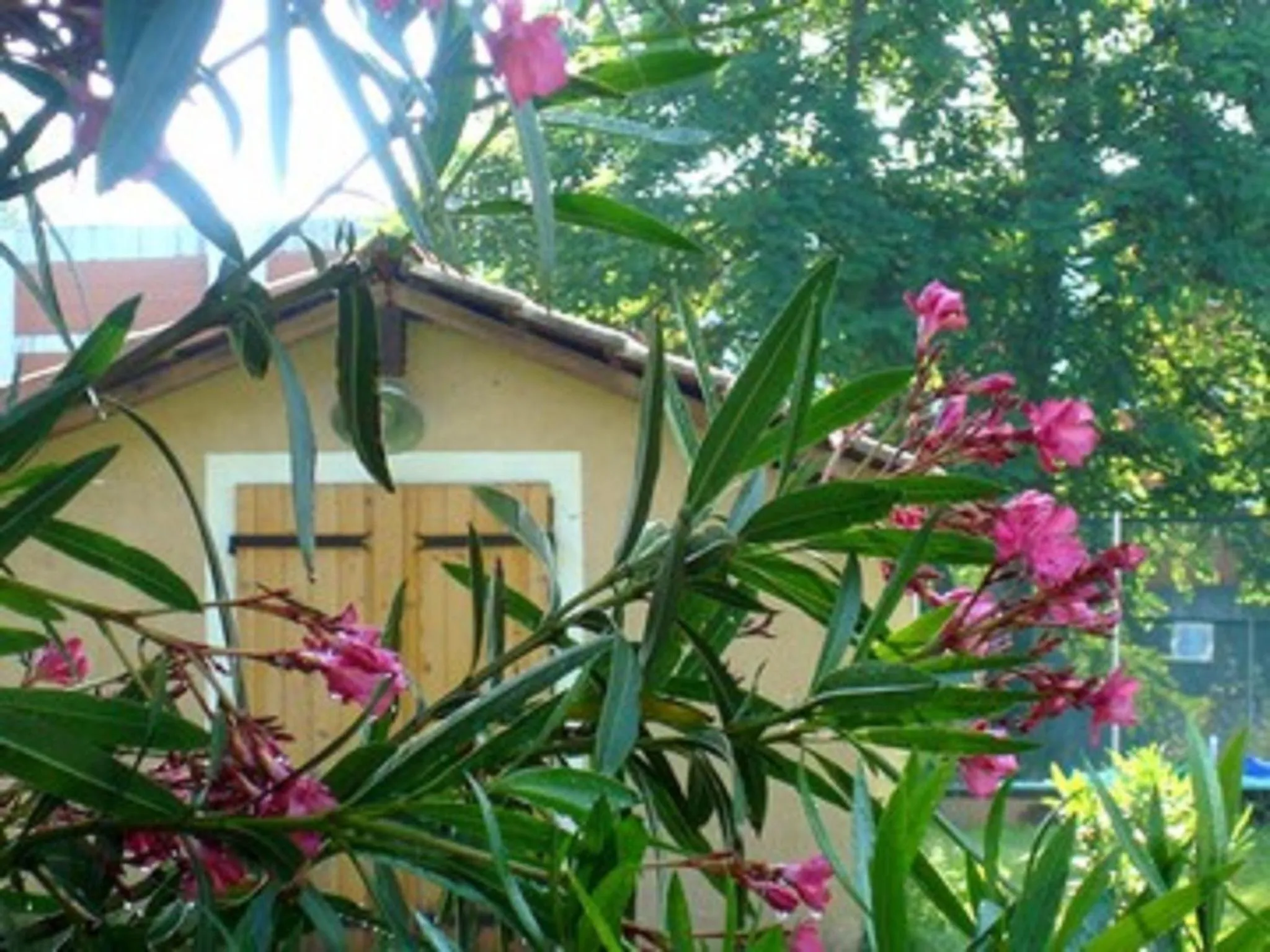 Garden in Résidence Thibaud