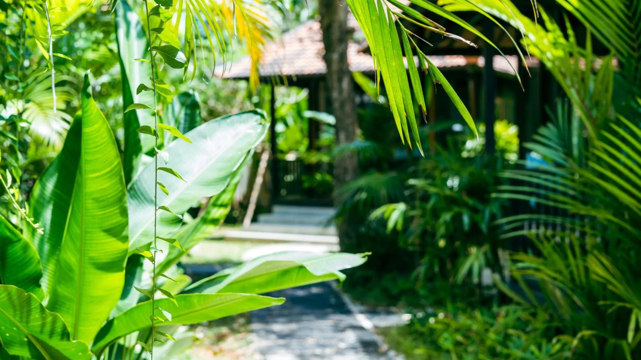 Garden in ONAYA Bali Resort - Adults Only