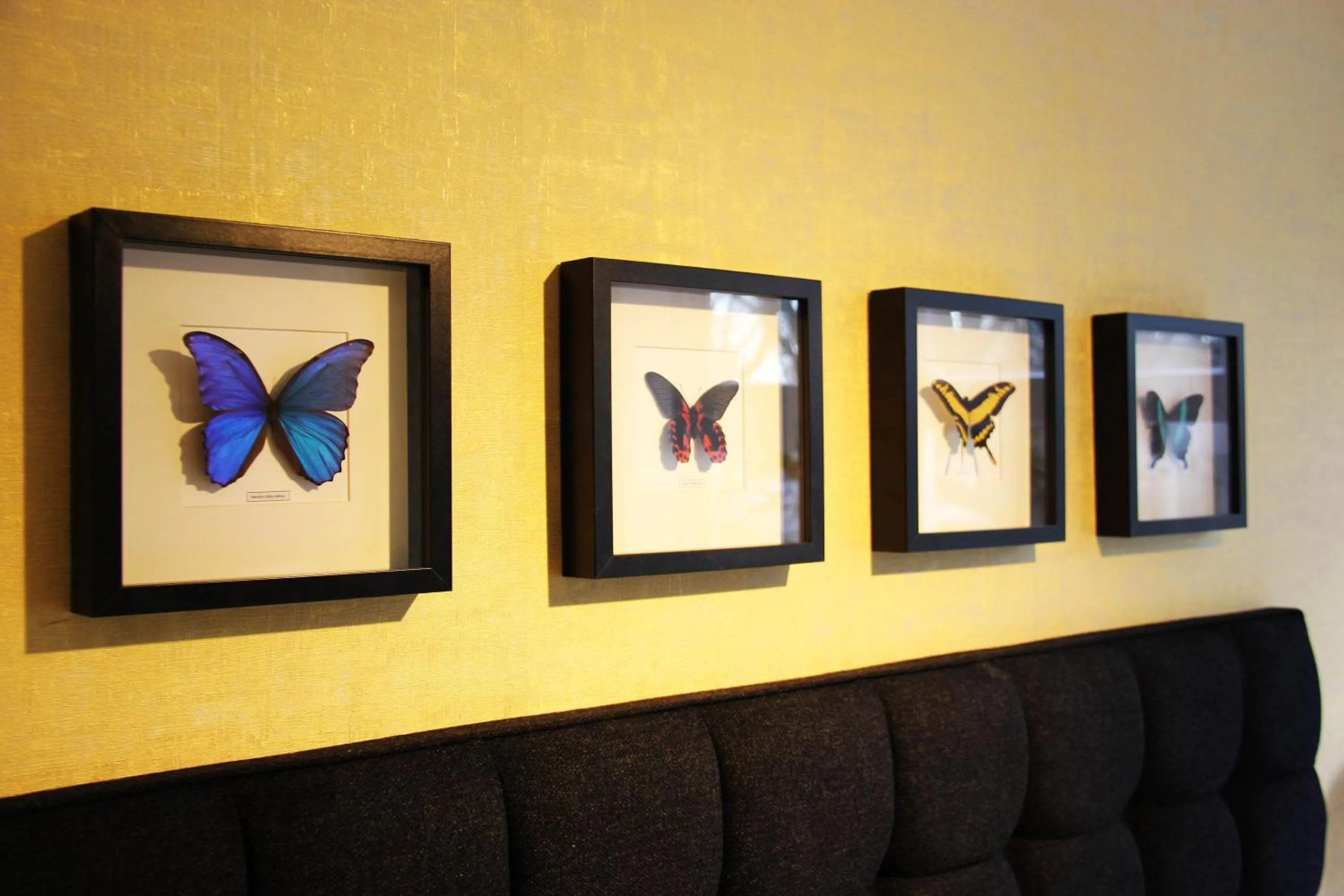 Decorative detail in House of Freddy